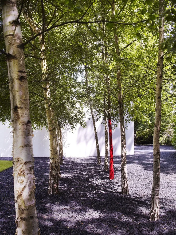 Mel Yates_Skywood_062.jpg