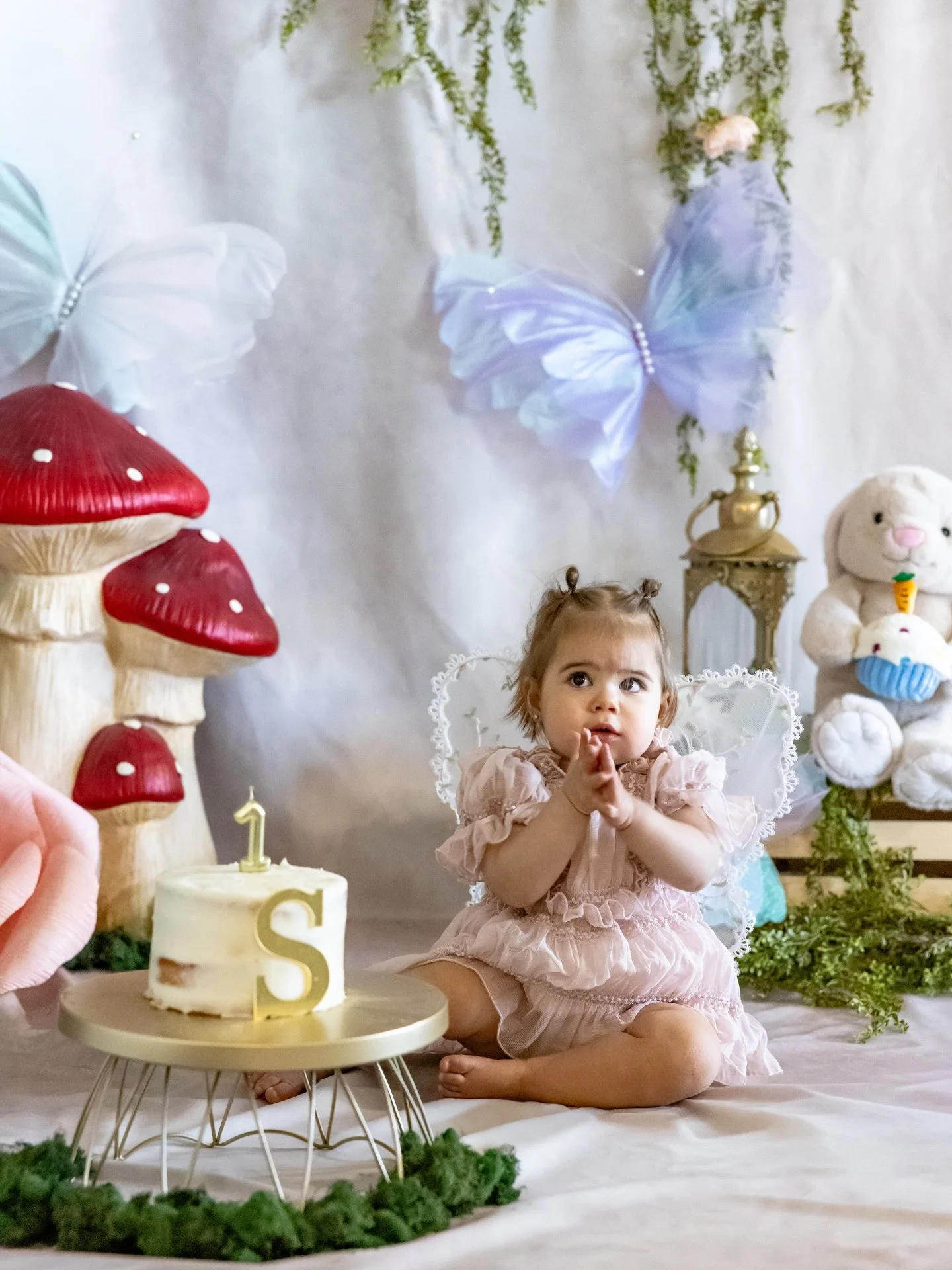 And just like that, the first year fluttered bye