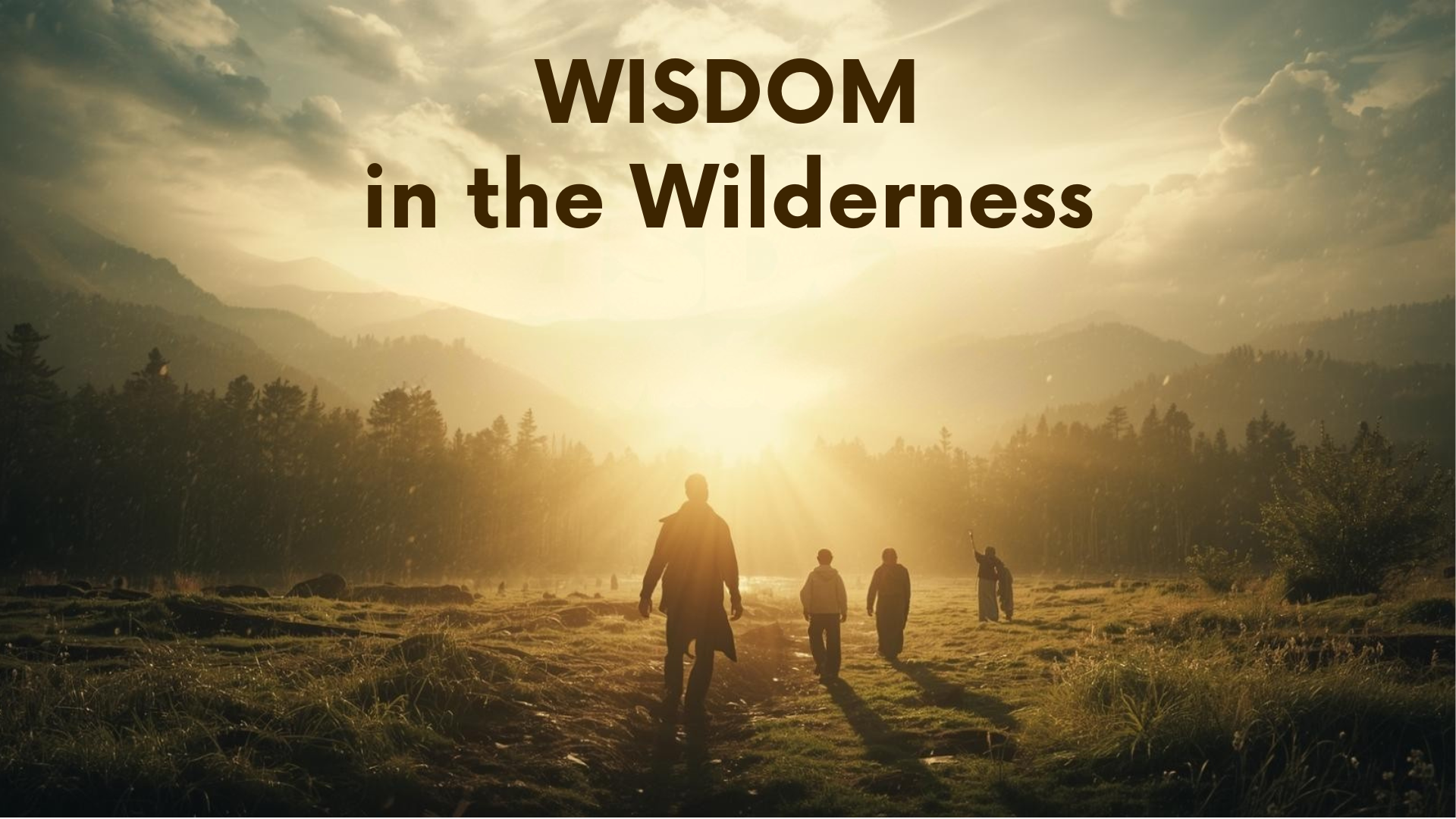 Wisdom in the Wilderness