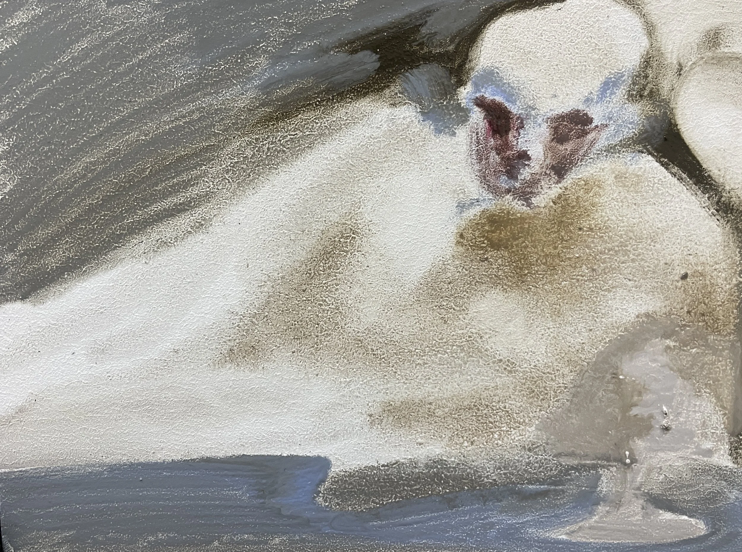 «She didn’t wake up», 15x20 cm