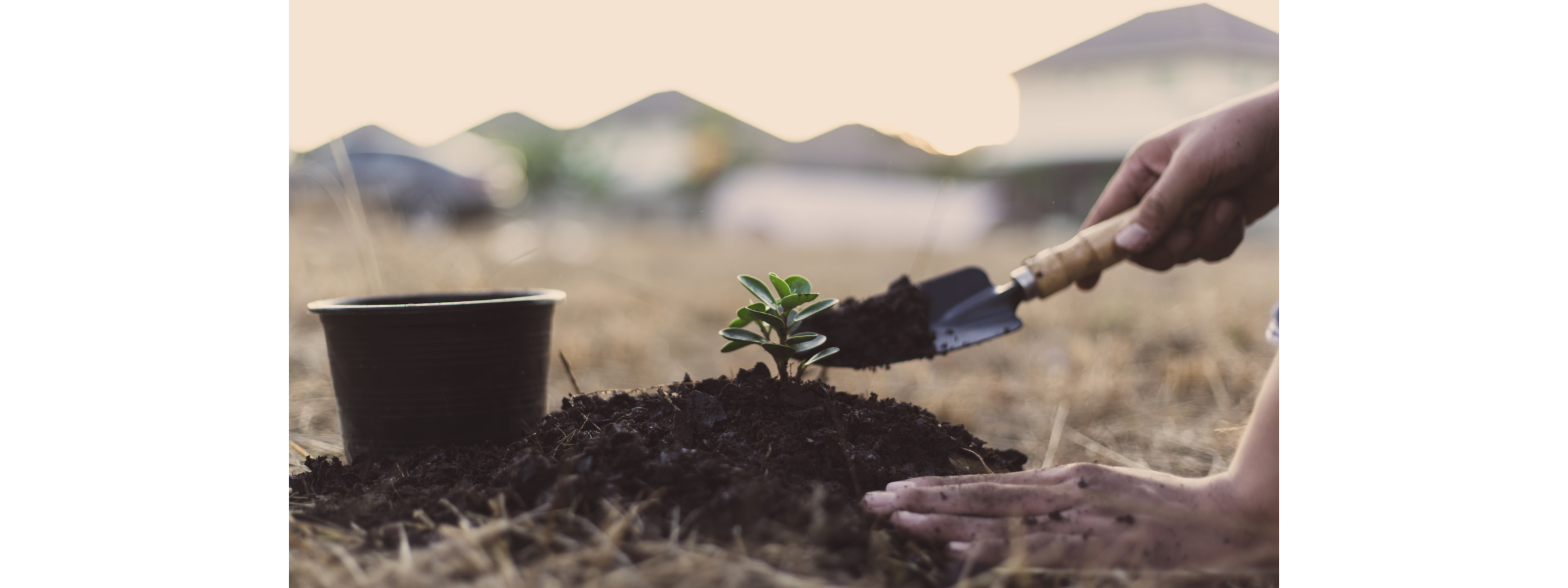 07.10.2026 Trauma & Safety, Part II: Embodying Sustainable Practice