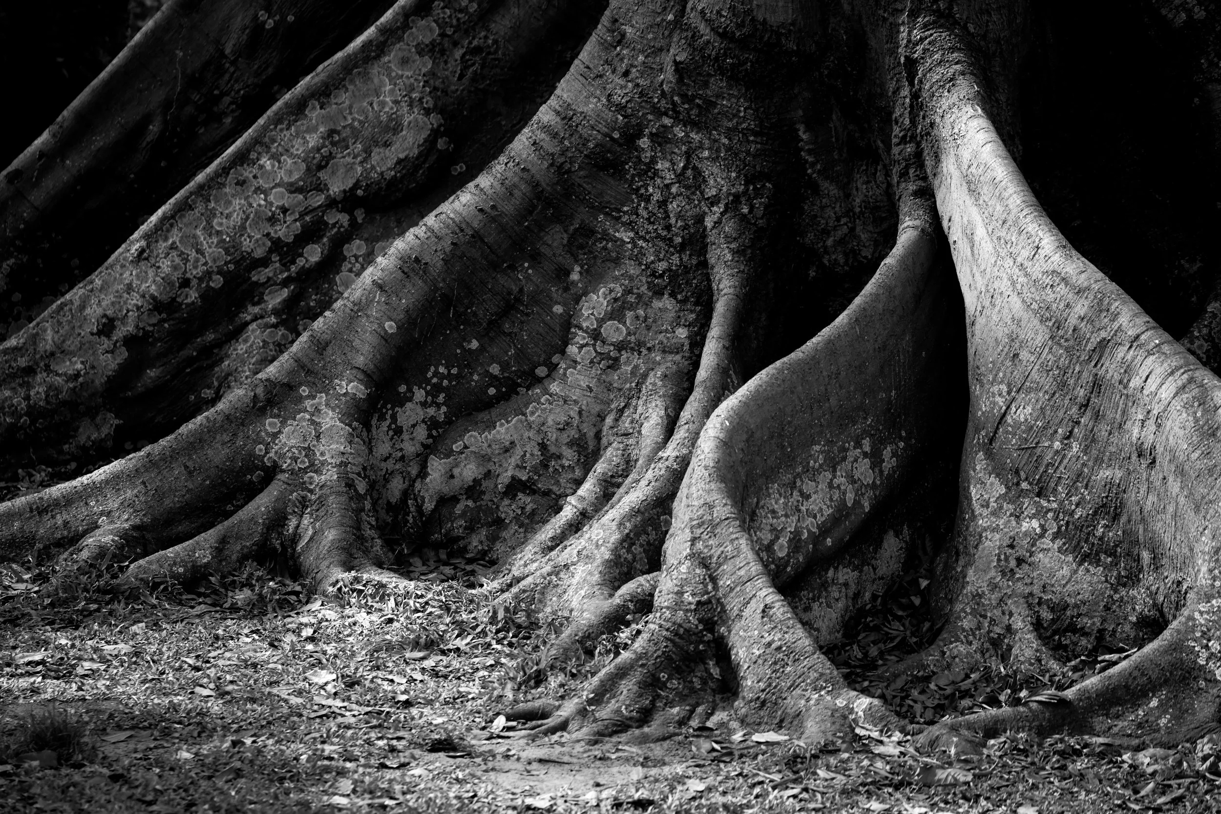 03.20.26 Trauma Work: The Intersection of EMDR, IFS, and Polyvagal Theory