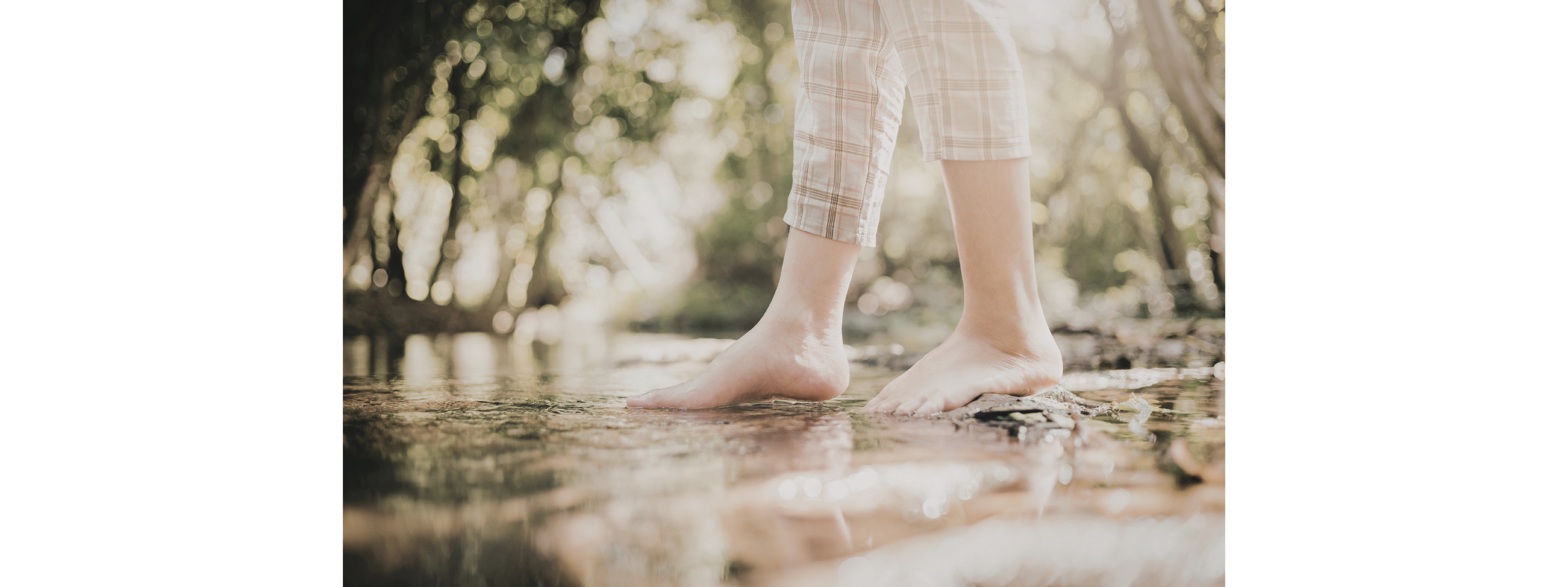 05.22.2026 Trauma & Safety, Part I: Foundations for Sustainable Practice