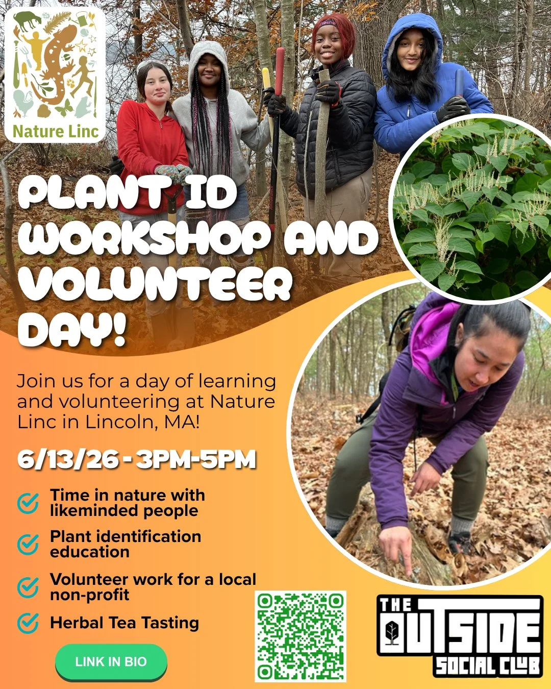 Plant ID and Volunteer Day with Nature Linc!