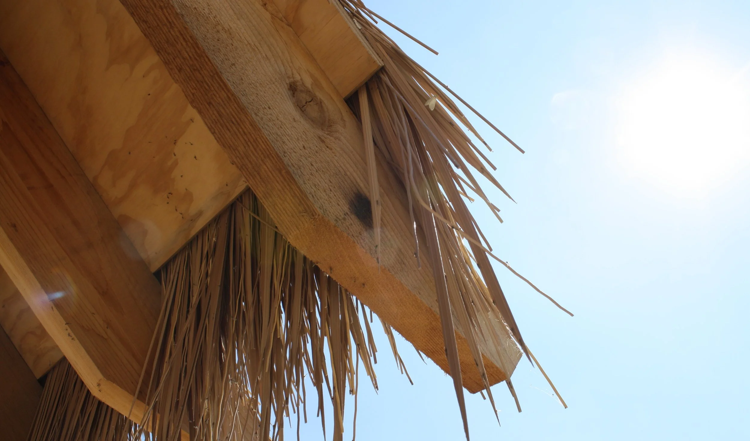 IMG_8105 - Fixed.JPG