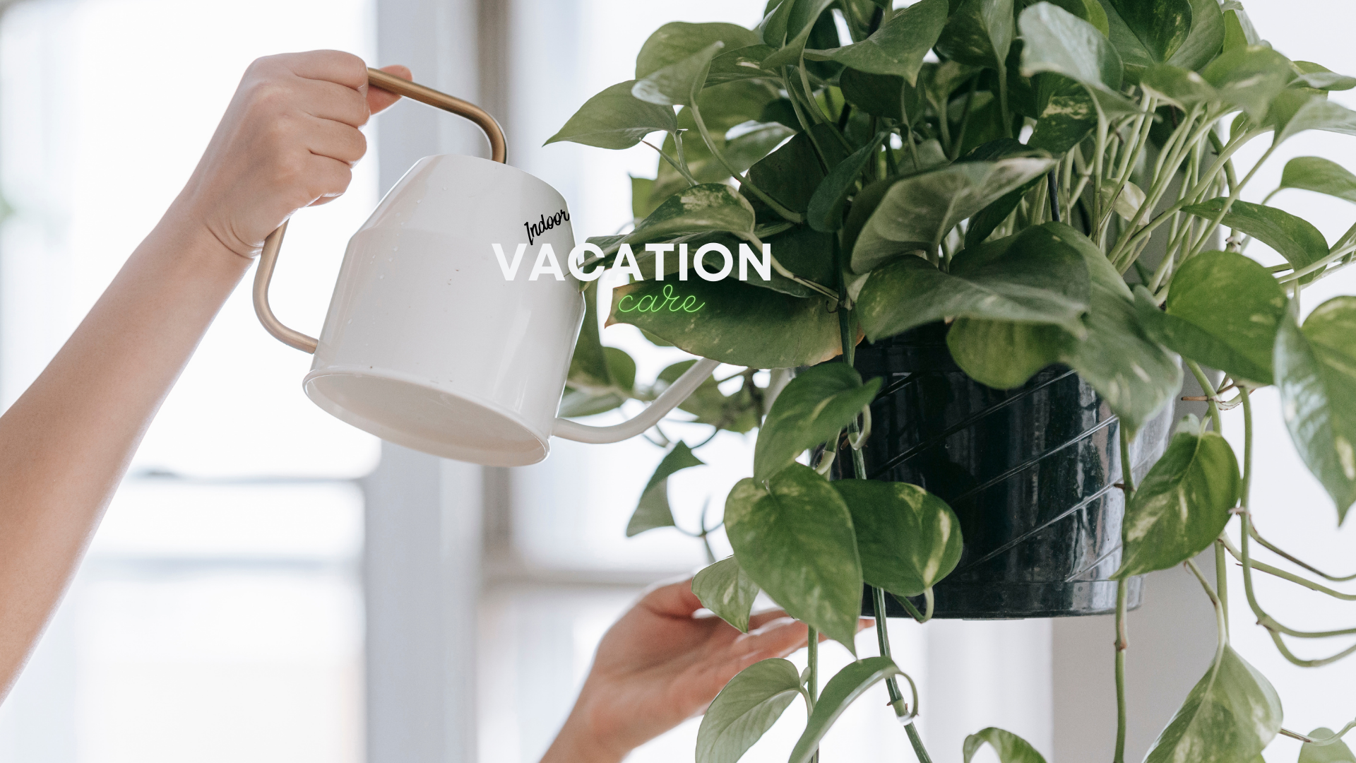 Final Indoor Vacation Care.png