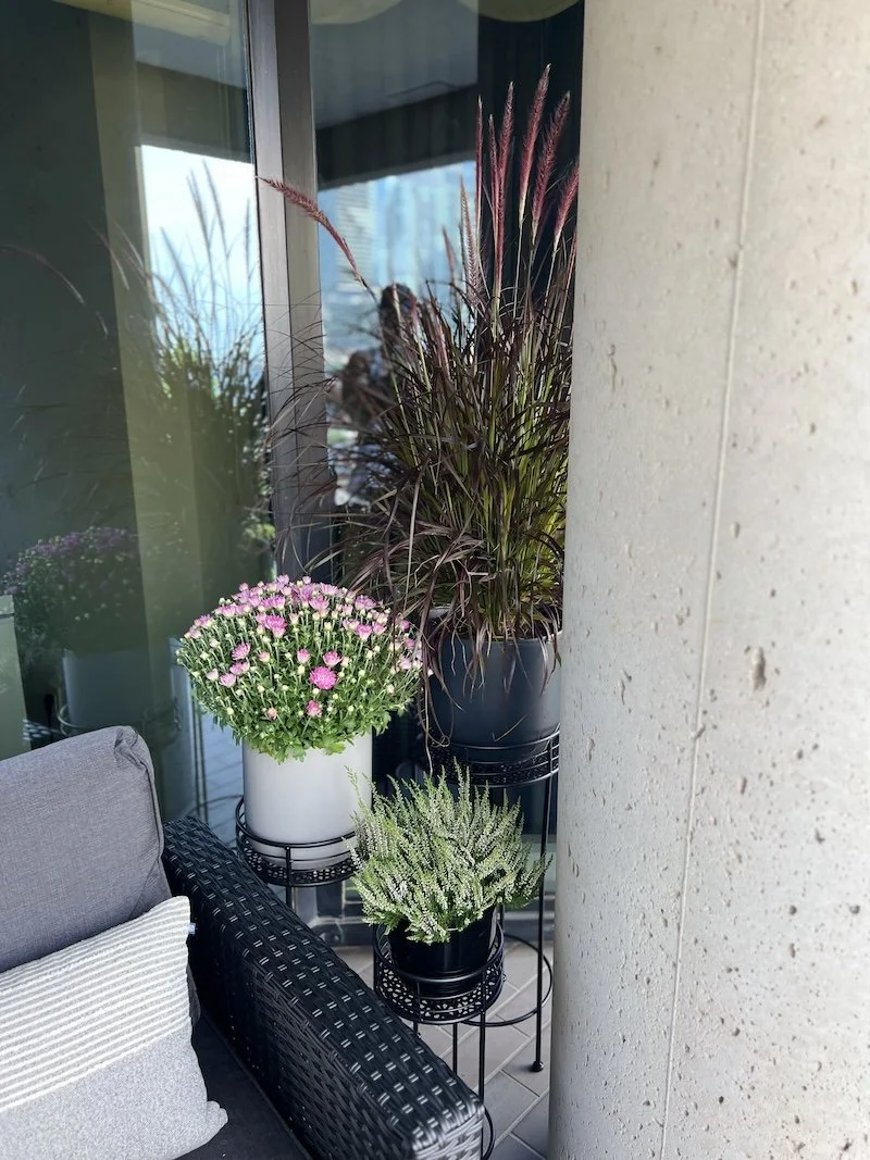 Planters &amp; Vertical Gardens — Grow More in Less Space