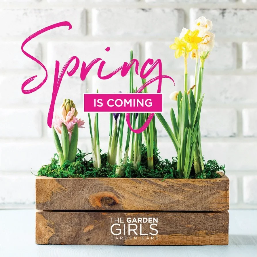 You don&rsquo;t realize how heavy winter feels until the sun lingers longer and the bird&rsquo;s start singing again. Suddenly your whole spirit feels lighter.  Also don&rsquo;t let these next few days trick you. Be warned. This is only an illusion. 