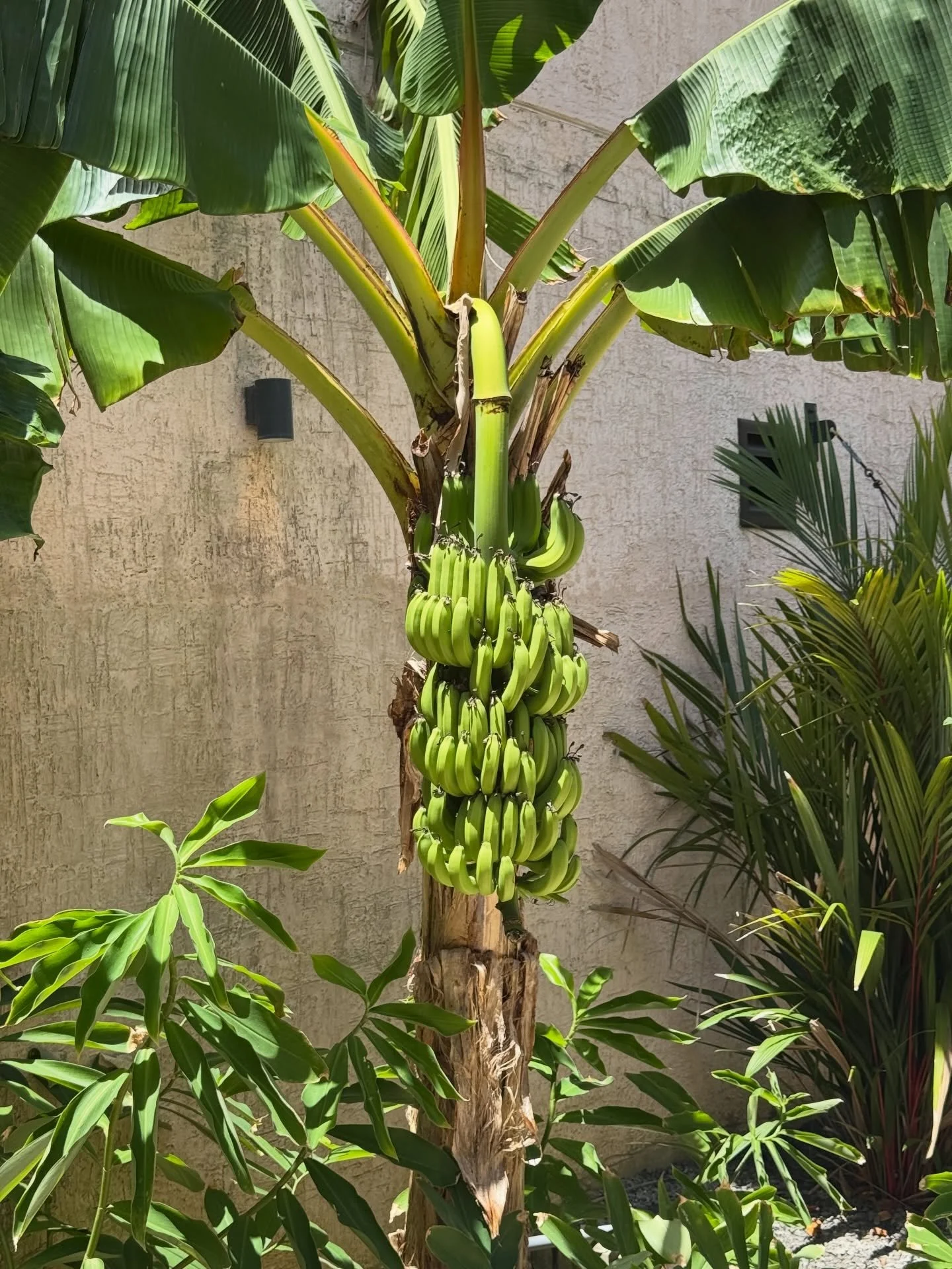 The floral of Roatan, Honduras . Time to go home tomorrow. Get ready for the Spring Craziness. #winter #hibernation #complete