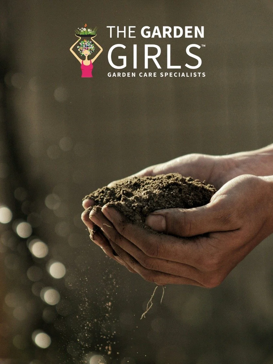 If your garden care plan for 2026 is still &ldquo;we&rsquo;ll see how it goes,&rdquo; we can help.

We build structured, nature-responsive plans that keep gardens healthy and looking cared for throughout the season.

Email us at hello@thegardengirls.