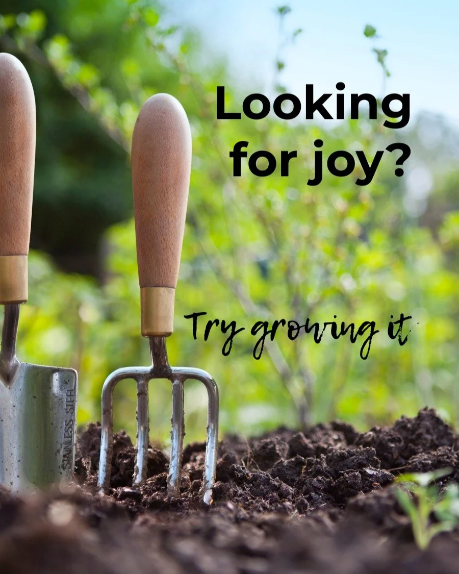 Planting is where gardens either get easier&hellip; or harder.

The right plant in the right place (sun/shade + spacing + soil) means less stress, fewer replacements, and better results year after year.

If you&rsquo;re planning new planting this sea