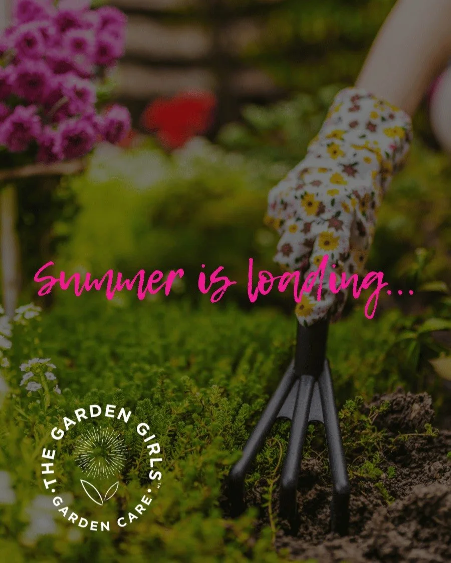 A beautiful garden is a routine.

Weekly, biweekly, monthly, or seasonal&mdash;ongoing care keeps weeds manageable, plants healthier, and your garden looking cared for between visits.

If you want a structured plan that fits your budget, email us:

h