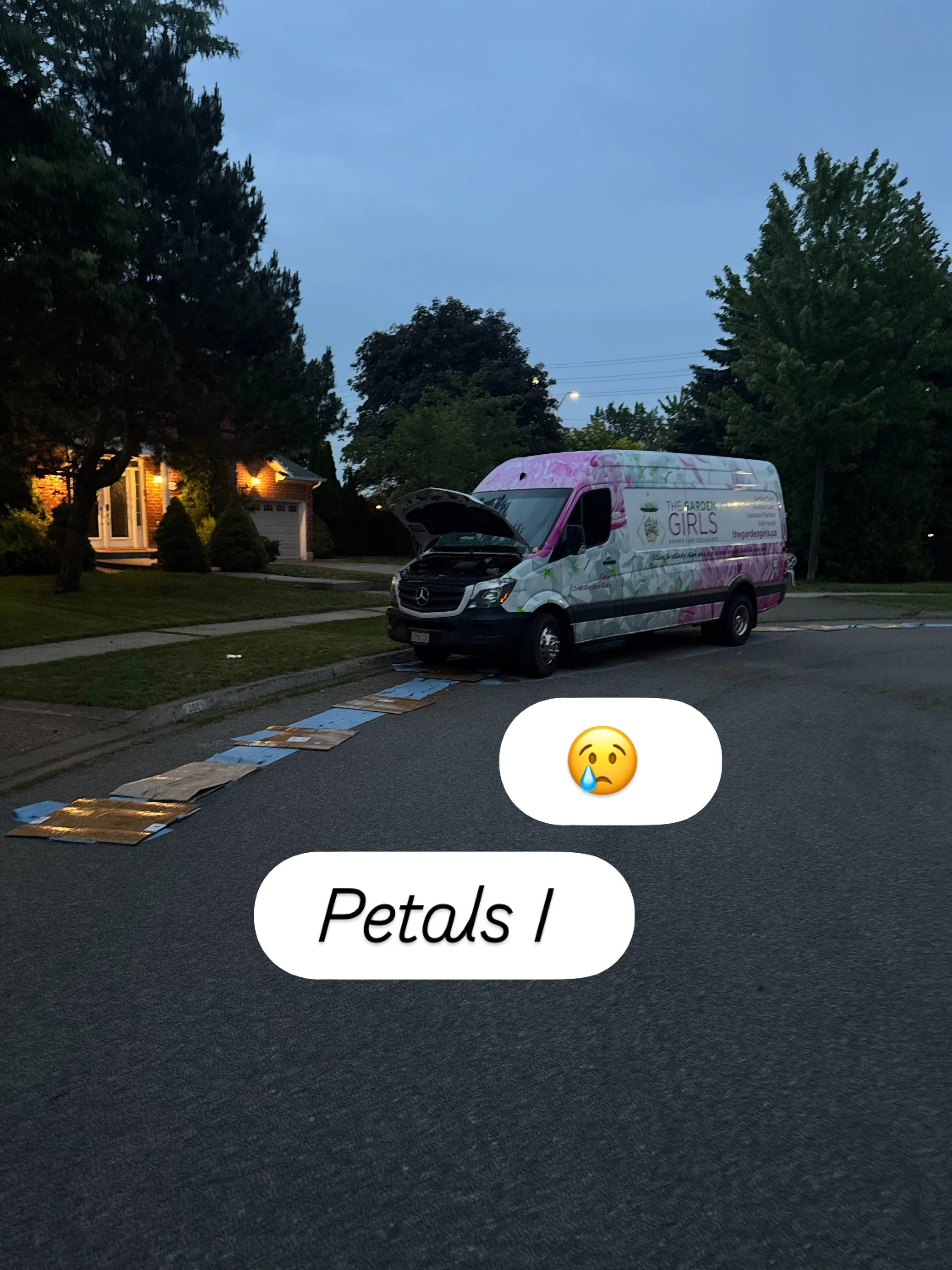 Petals I is feeling a little sad. Hopefully just an oil line. #sadday