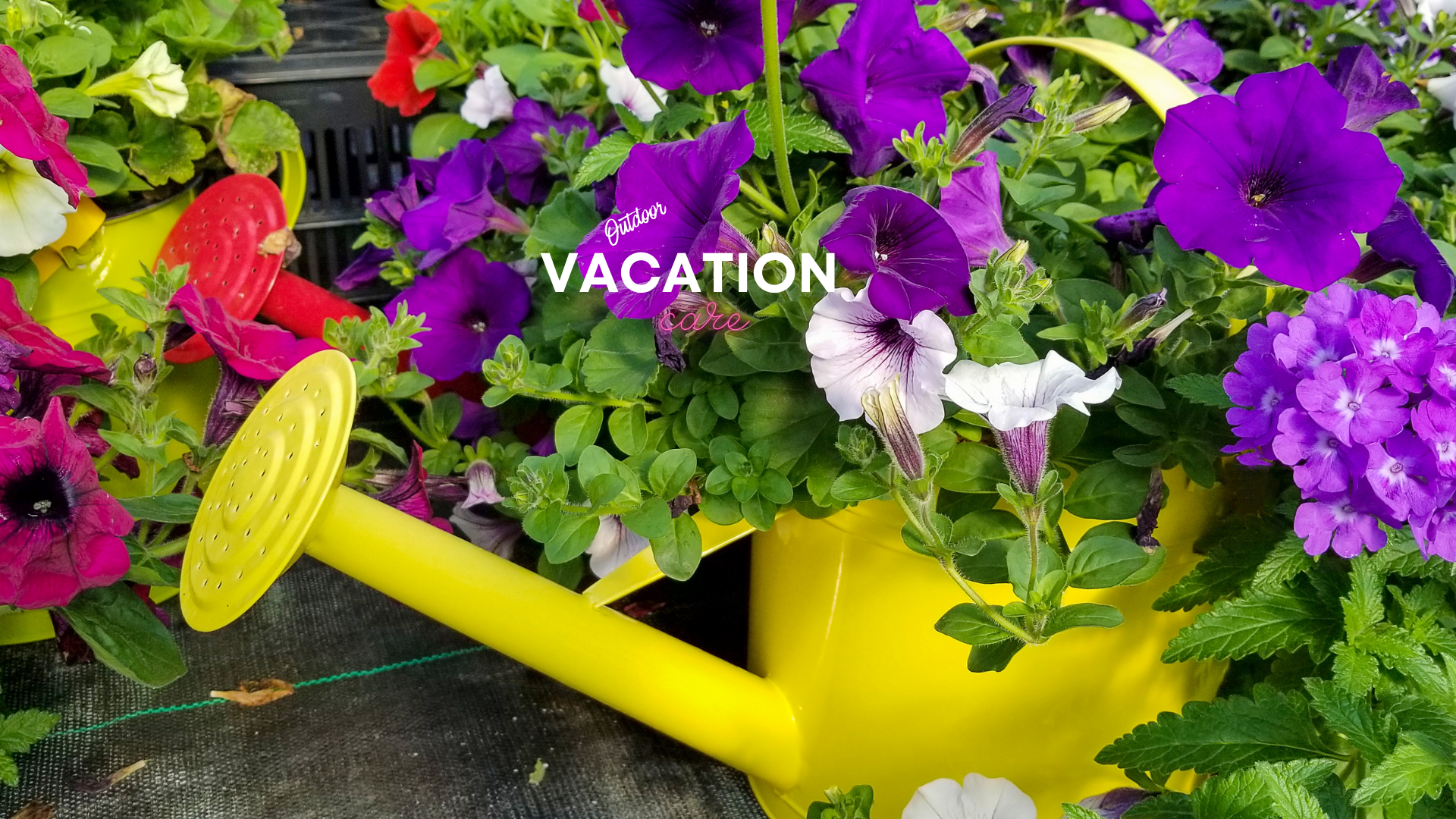 Final Vacation Care Outdoor.png