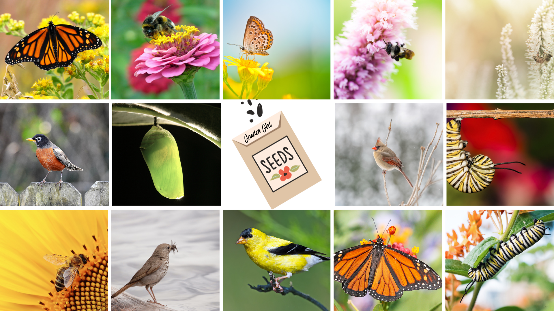 Contact Us  Collage.png