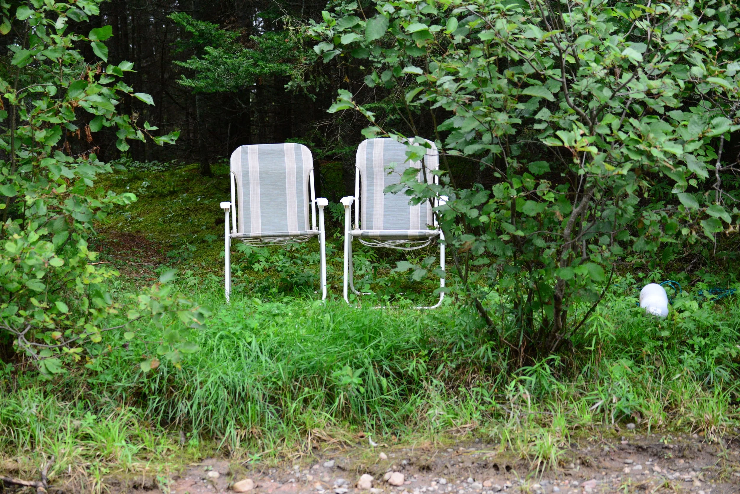 Two white and gray striped lawn chairs surrounded by green grass, bushes, and trees in a wooded area.