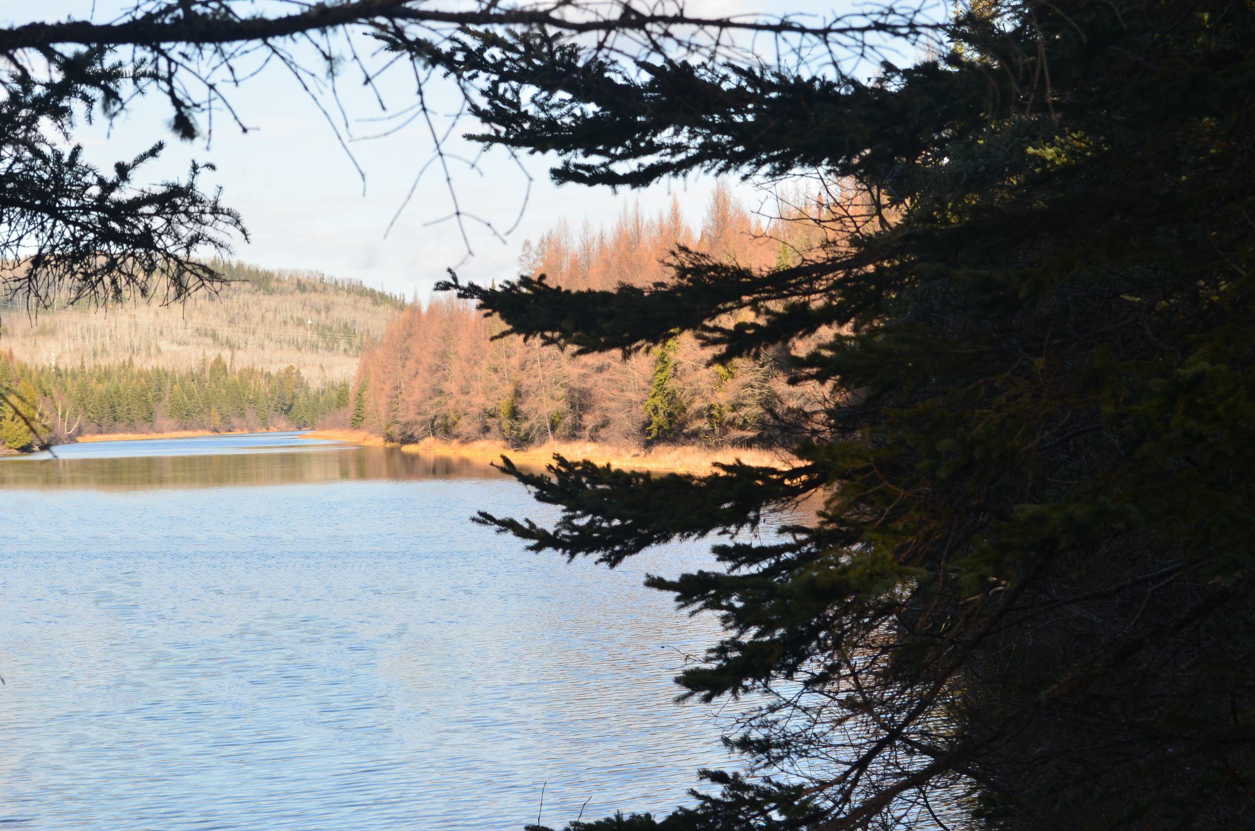 Scenic lake view framed by tree branches with a forested shoreline and hills in the background.