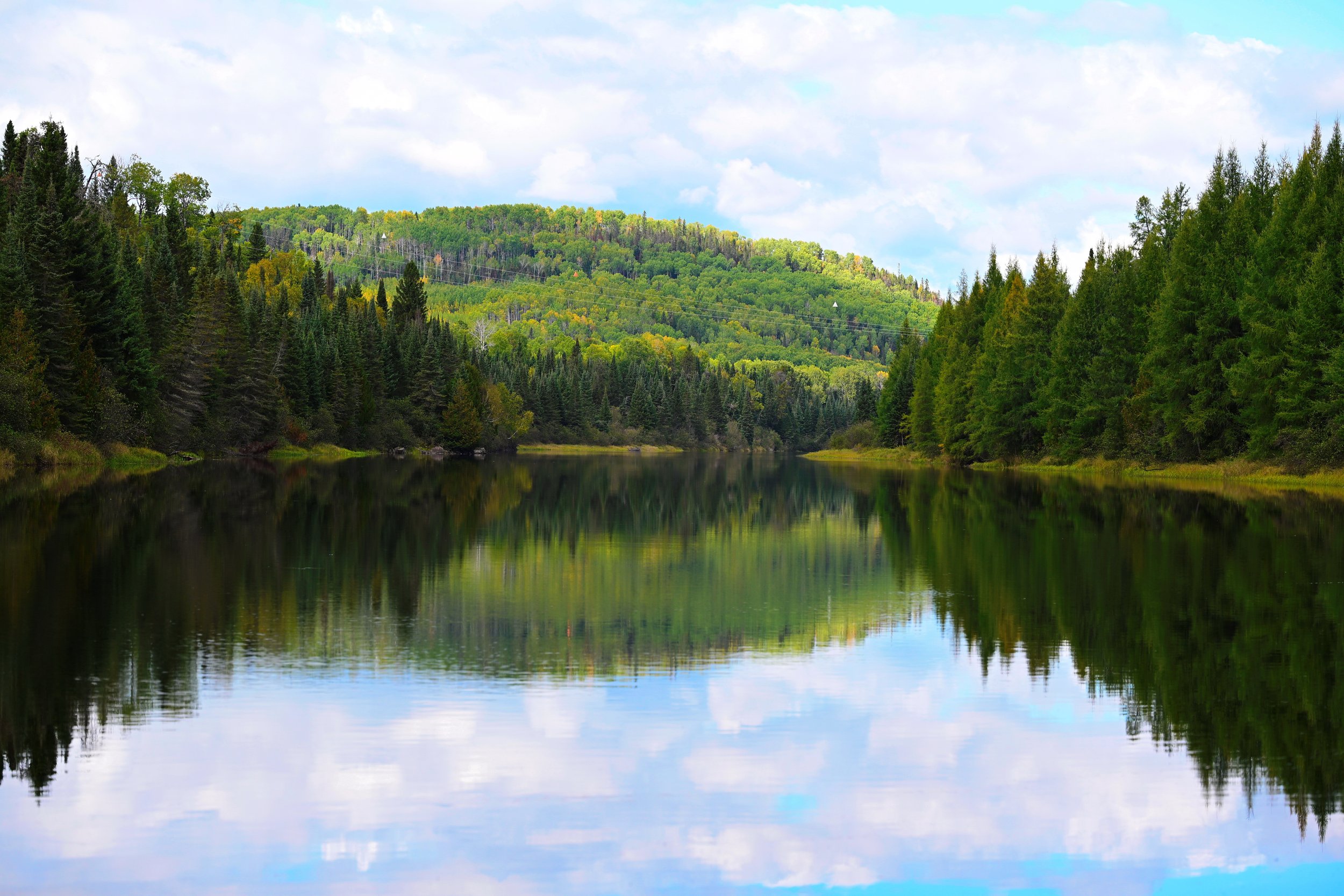 Image featuring the river and trees at Philosopher's Point