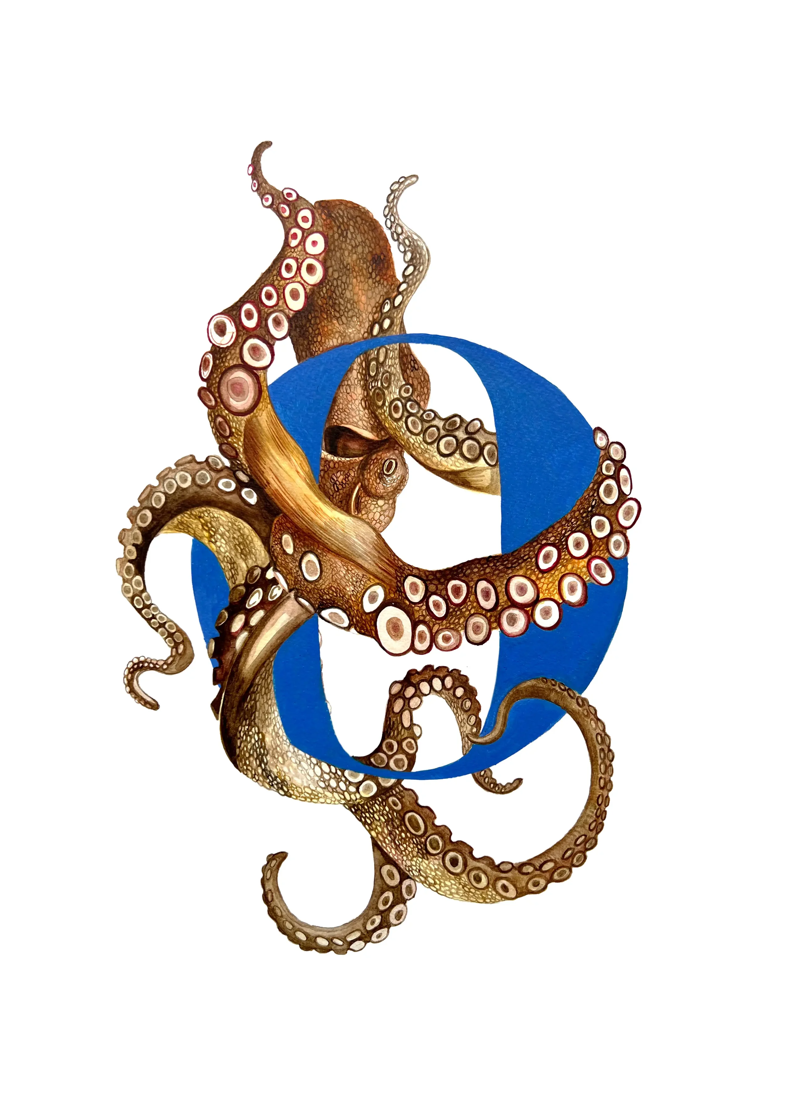 A3 OCTOPUS copy 2.webp