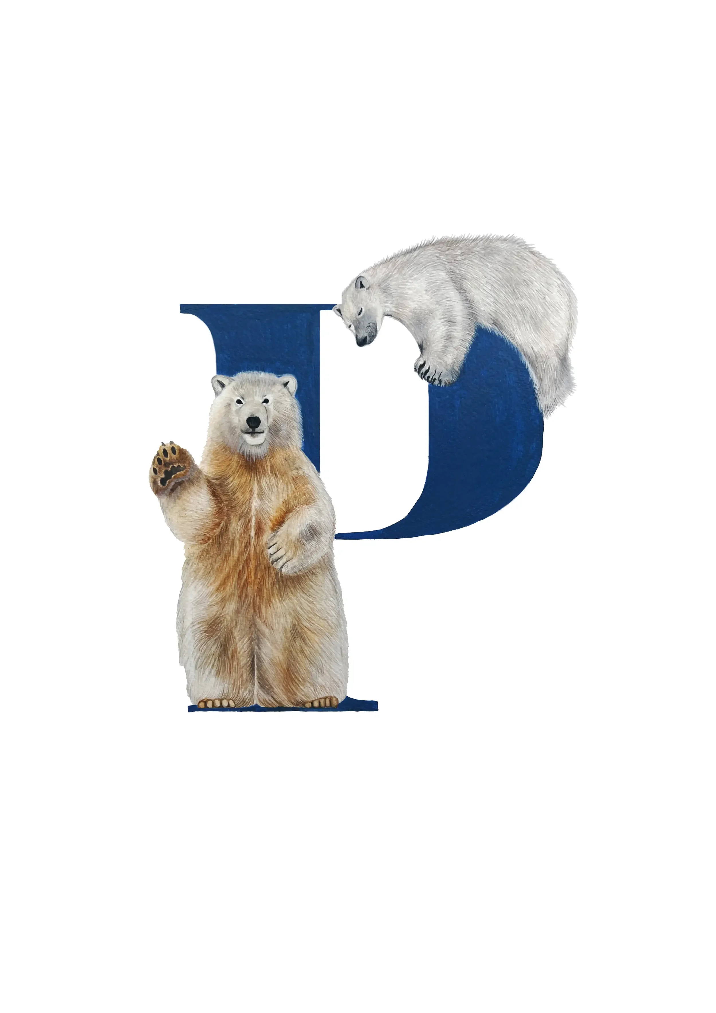 A3 POLAR BEARS copy 2.webp