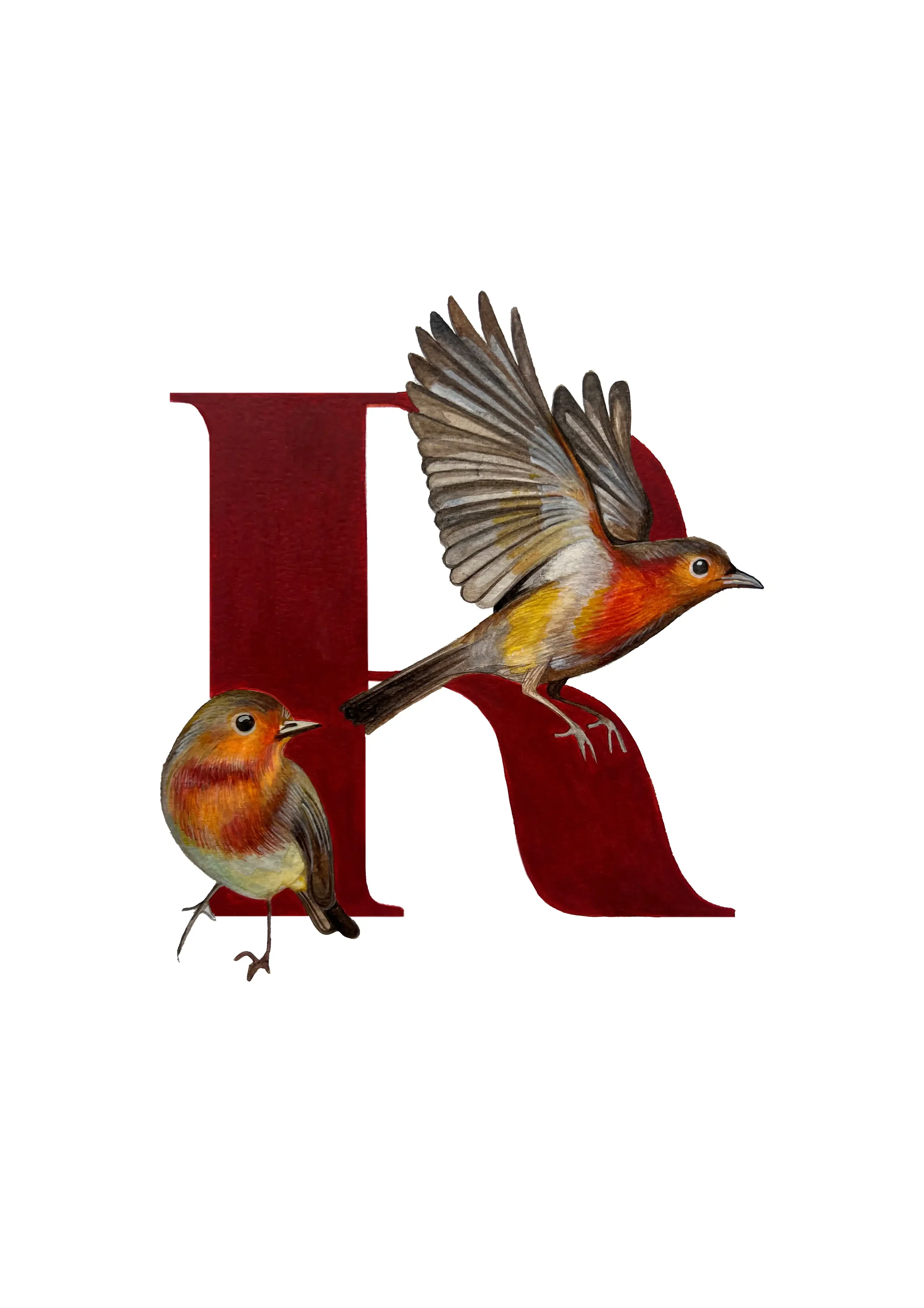 A3 ROBIN copy 2.webp