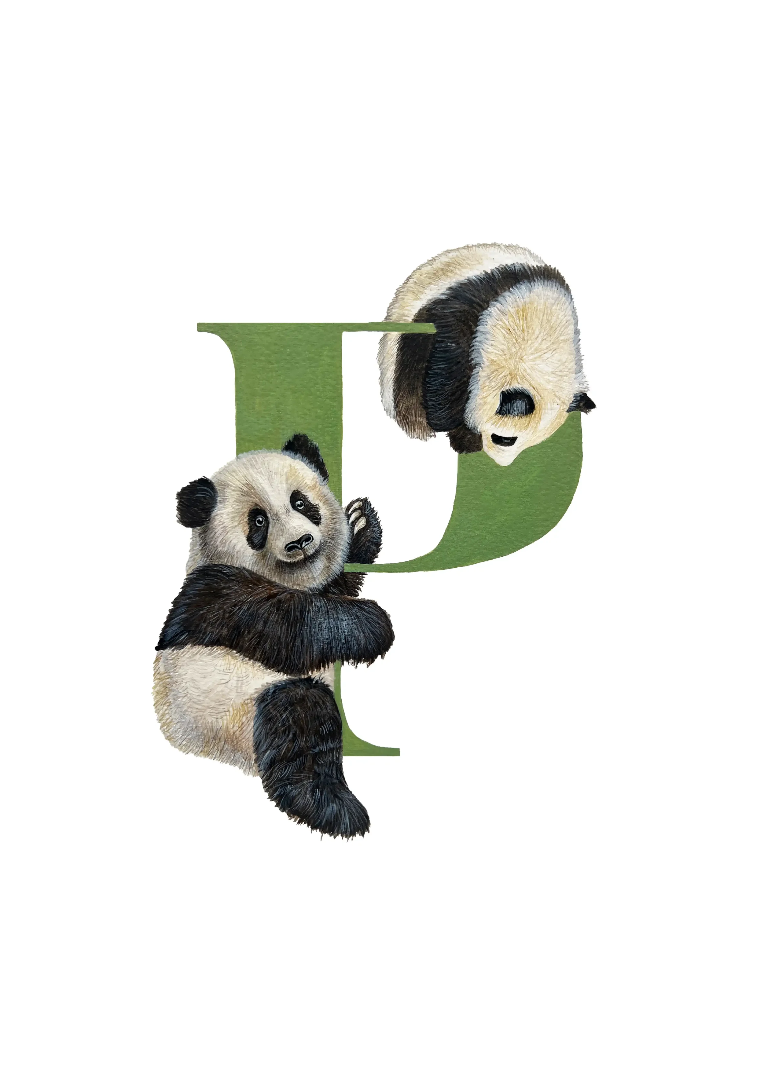 A3 PANDA copy 2.webp