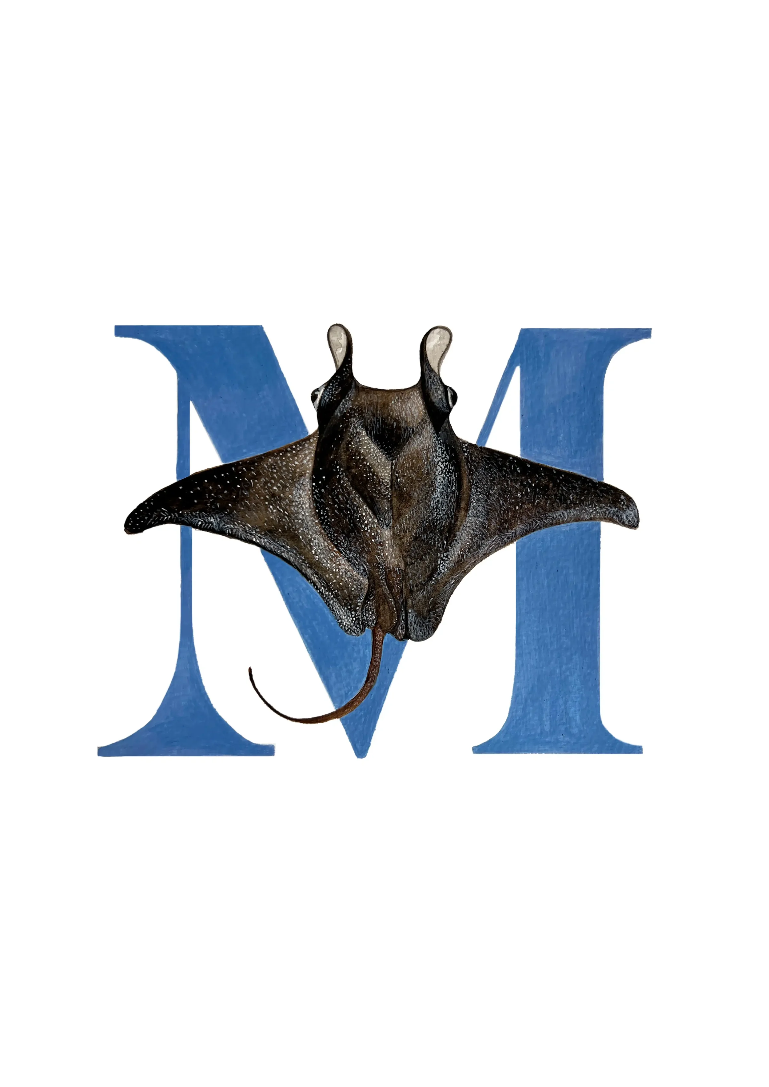 A3 MONTERREY copy 2.webp