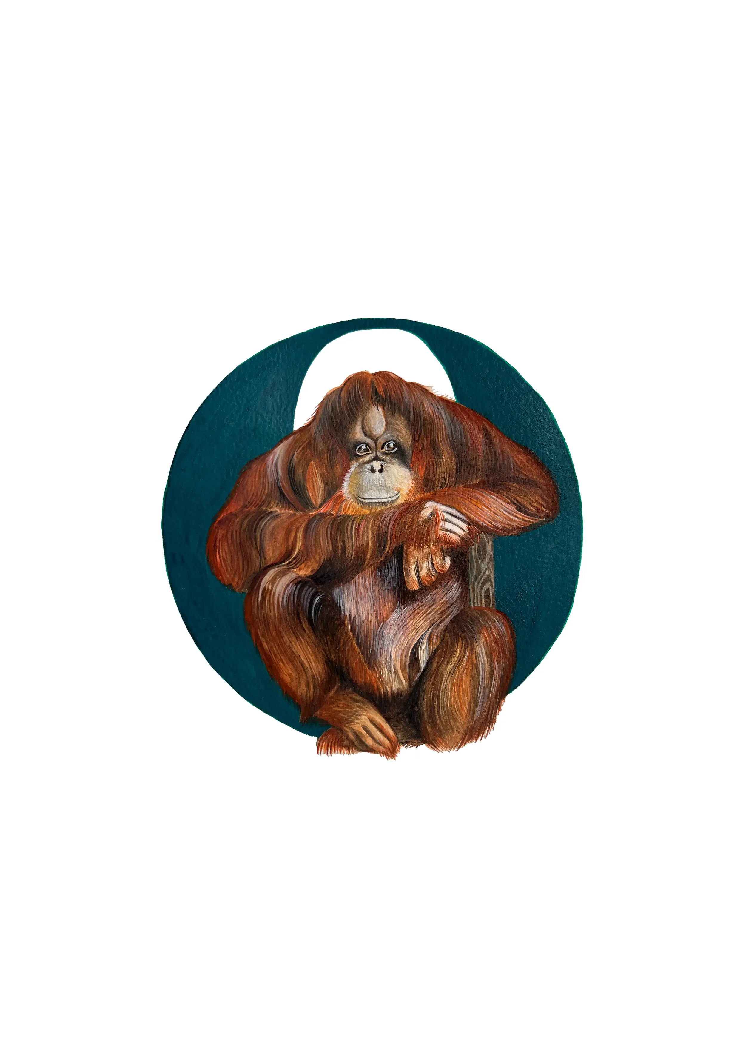 A3 ORANGUTAN copy 2.webp