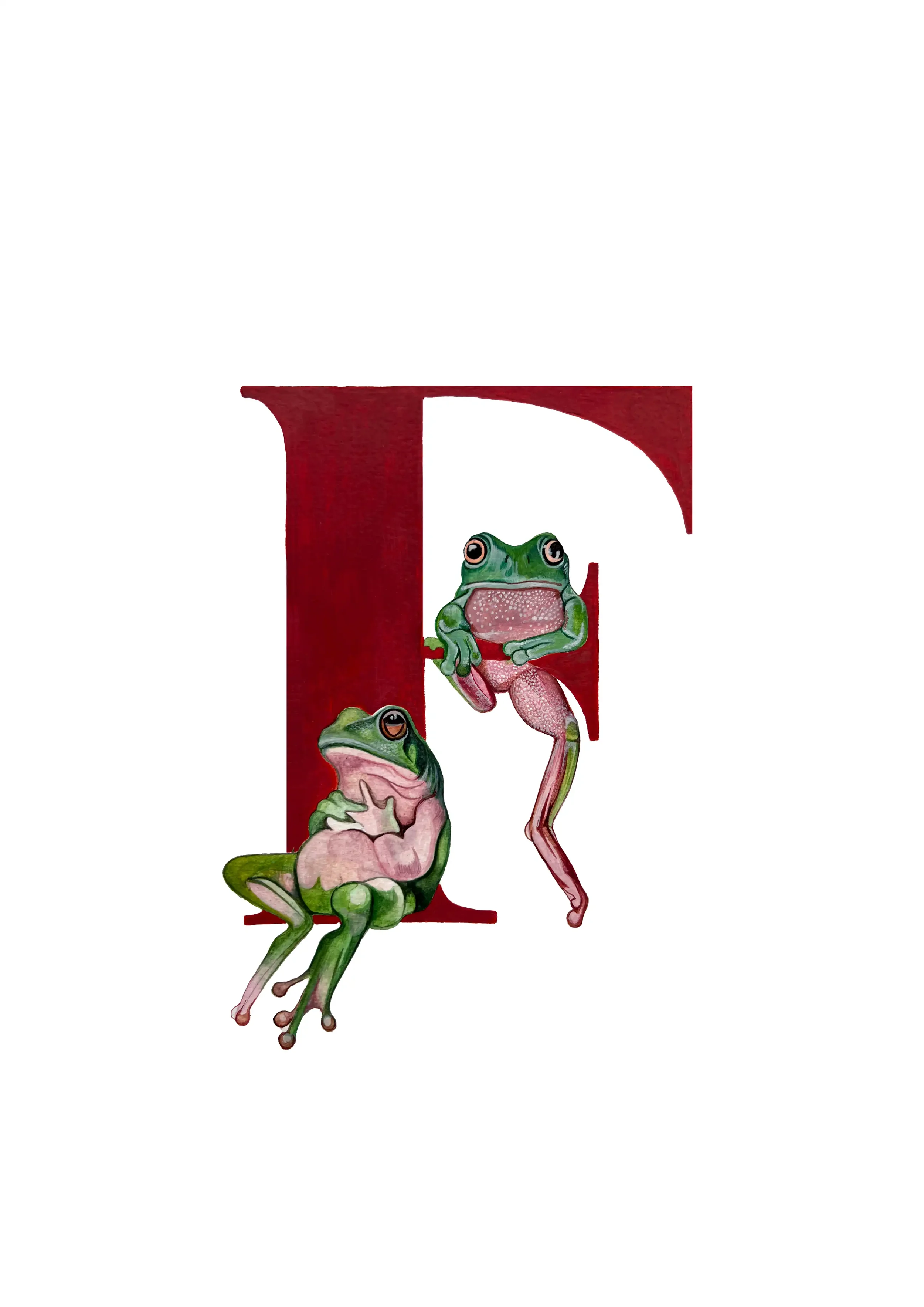 A3 FROG copy 2.webp