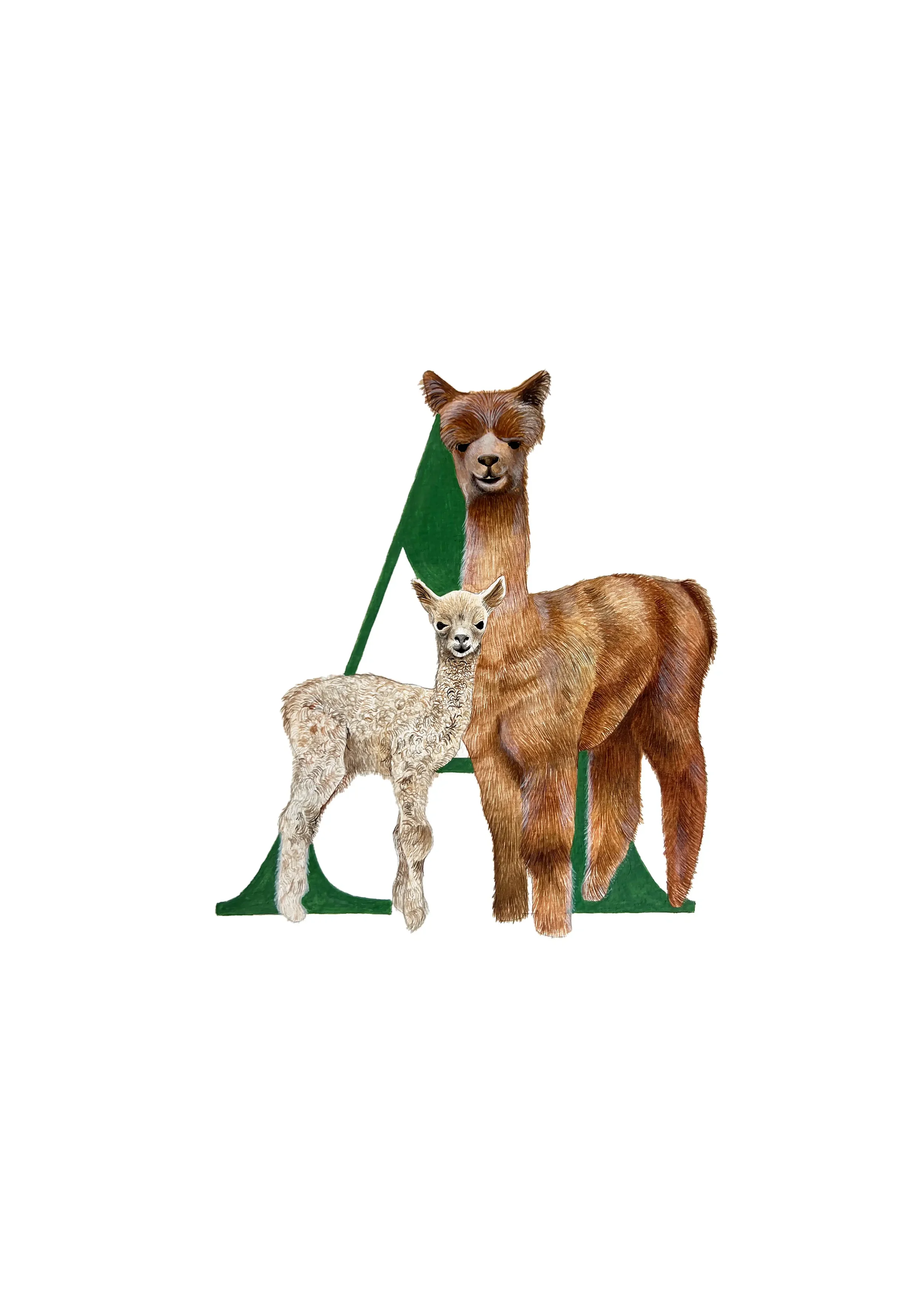 A3 ALPACA copy 2.webp