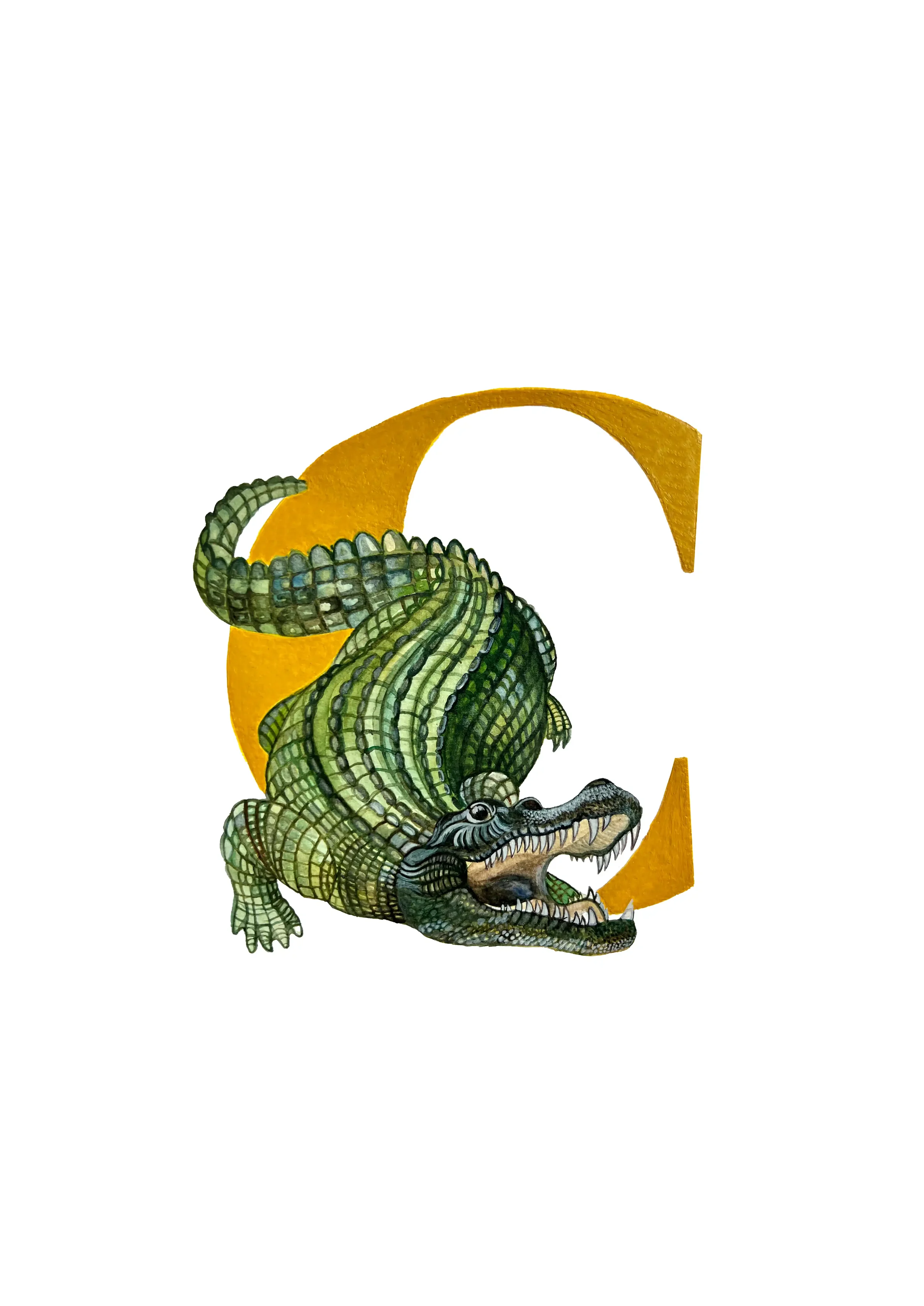 A3 CROC copy 2.webp
