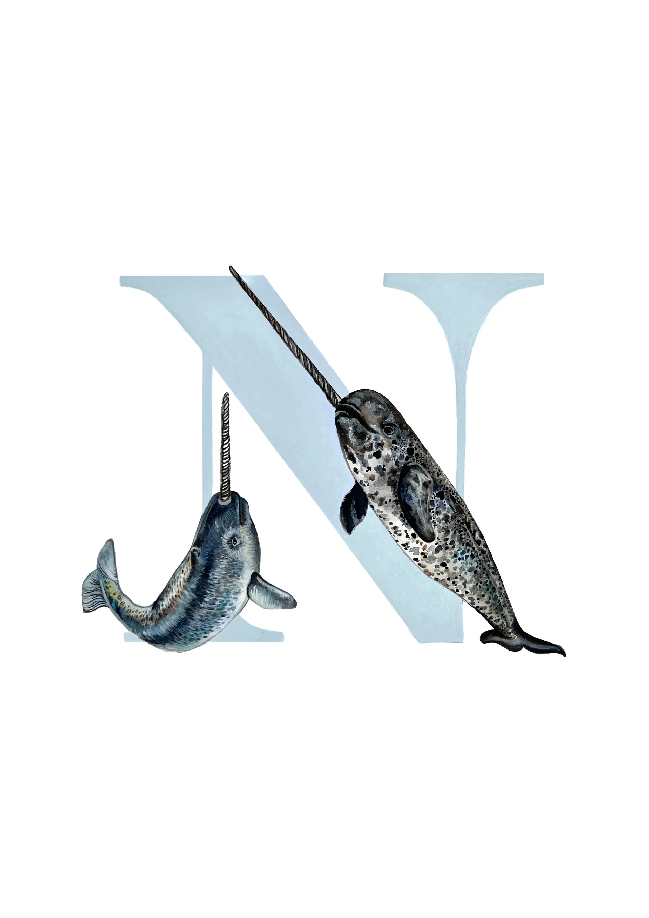 A3 NARWHALE copy 2.webp
