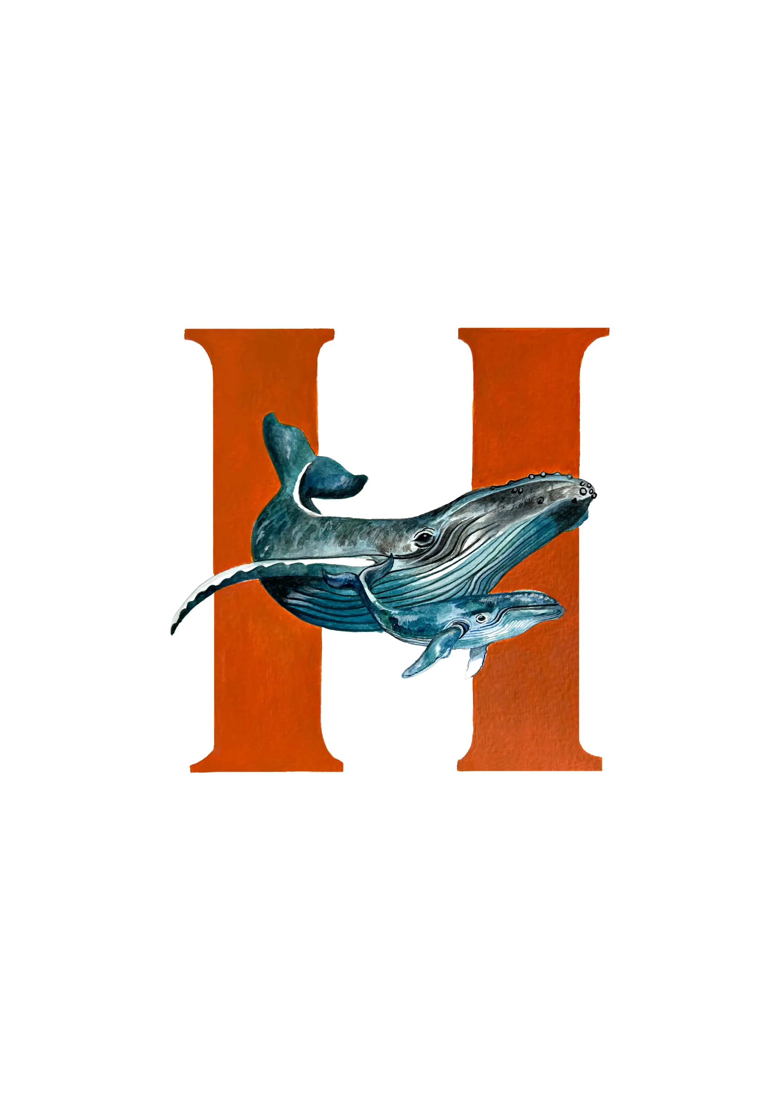 A3 HUMPBACK WHALE copy 2.webp