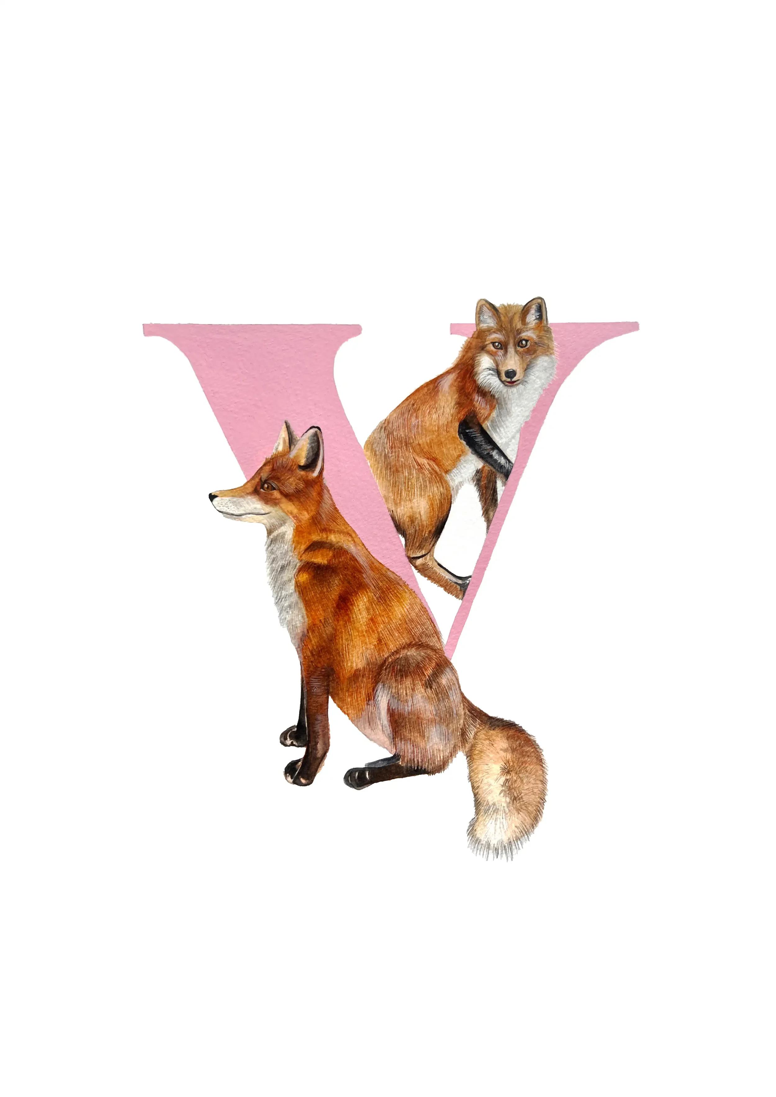 A3 VIXEN copy 2.webp