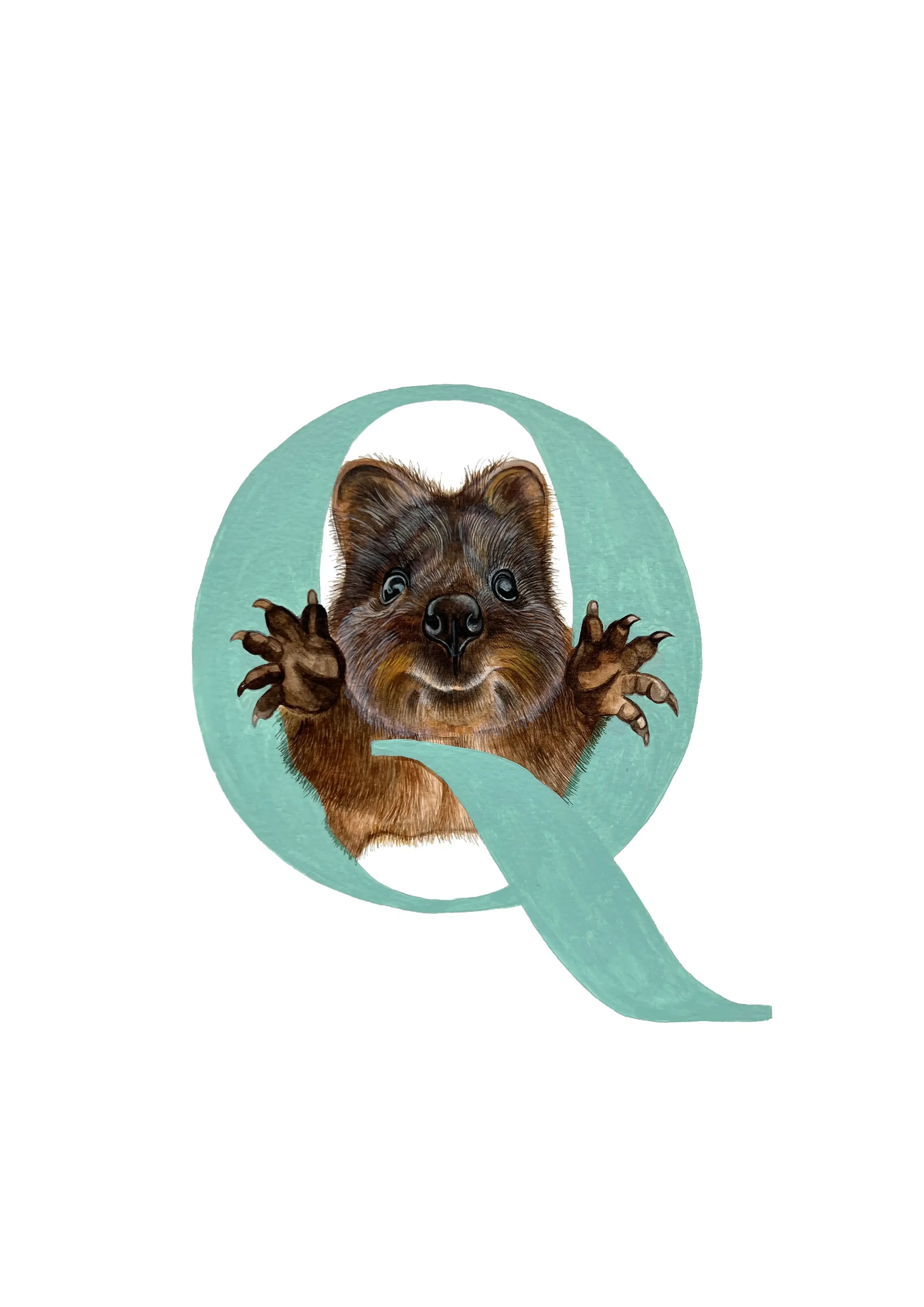 A3 QUOKKA copy 2.webp