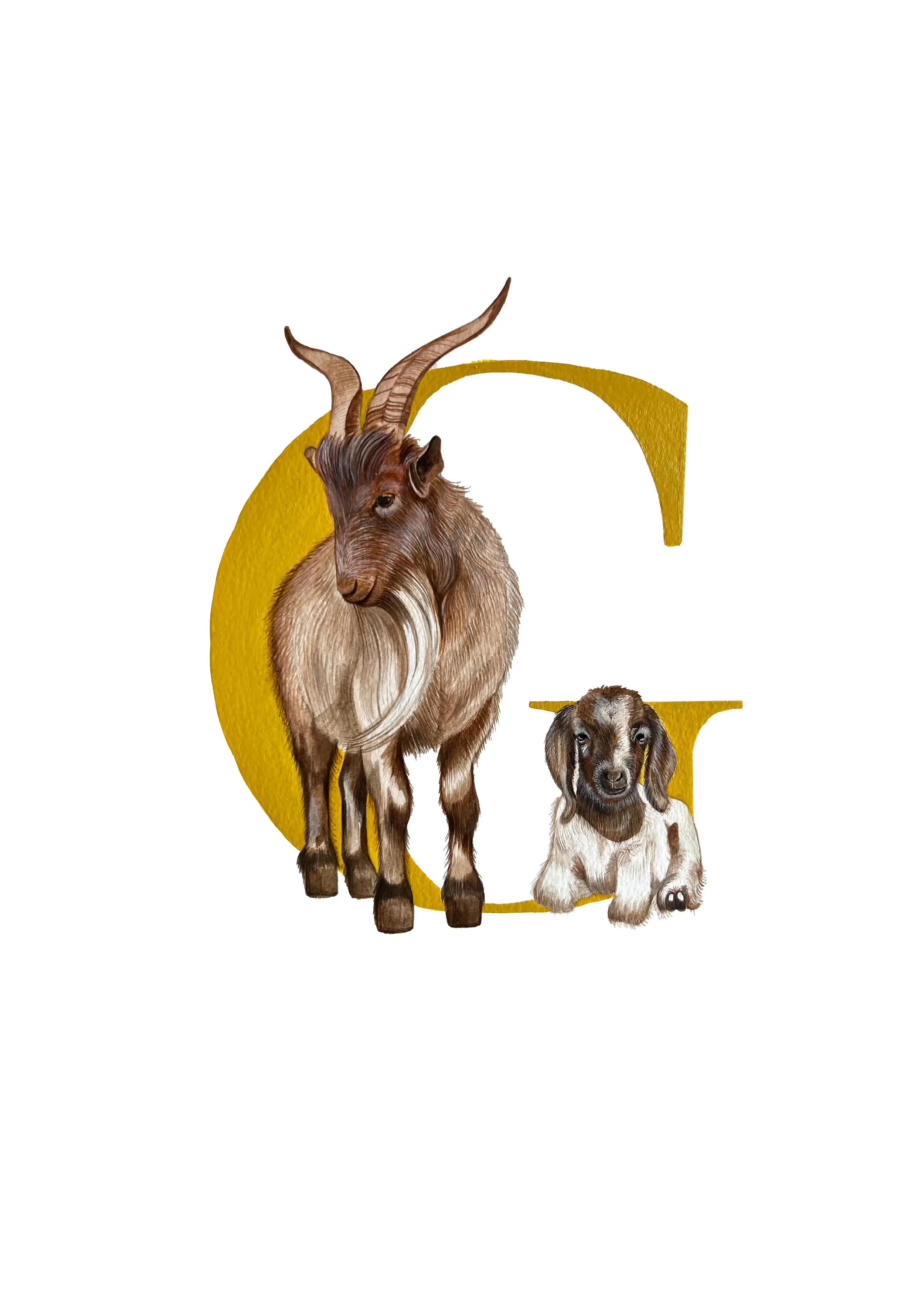 A3 GOAT copy 2.webp