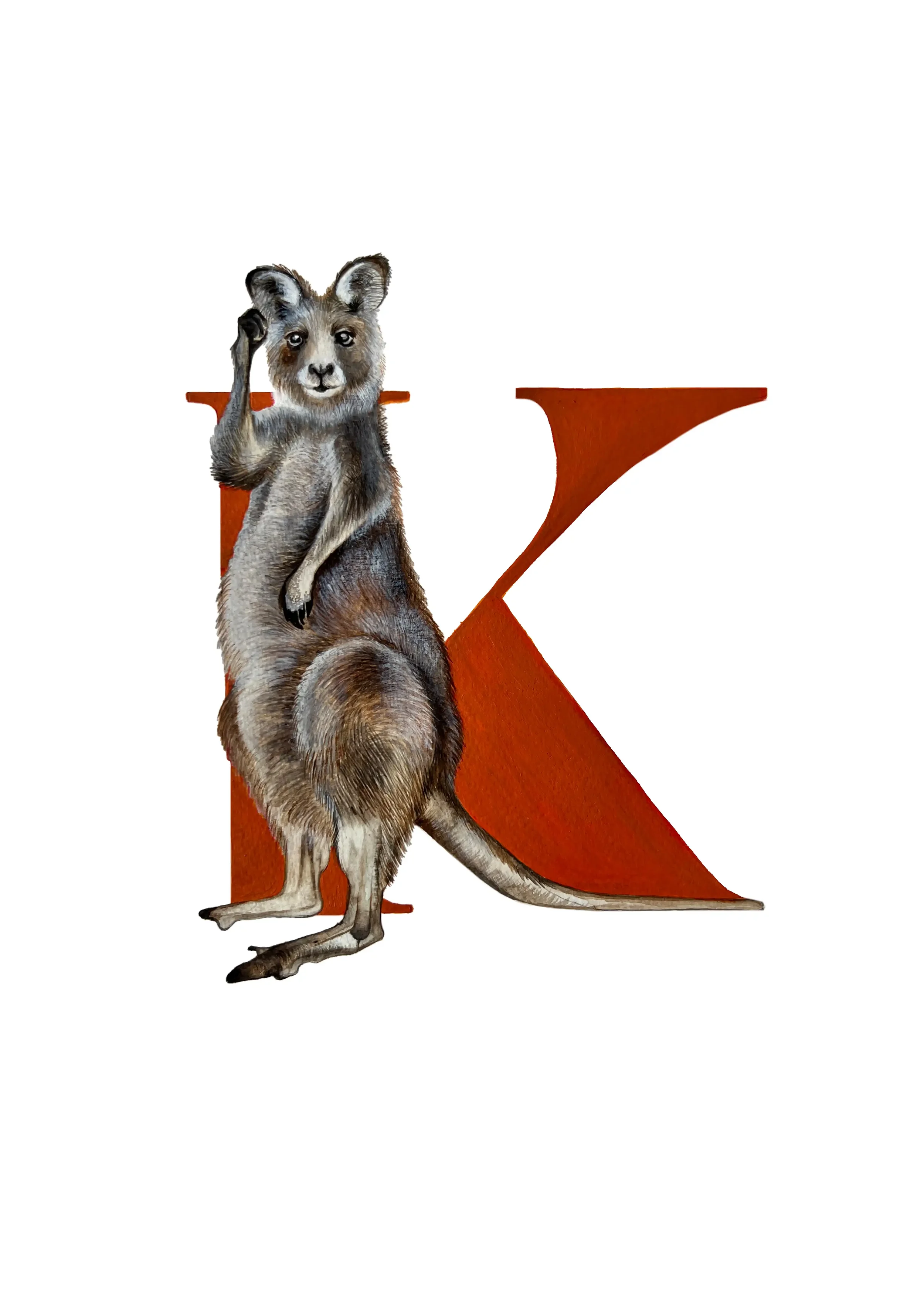 A3 KANGAROO copy 2.webp