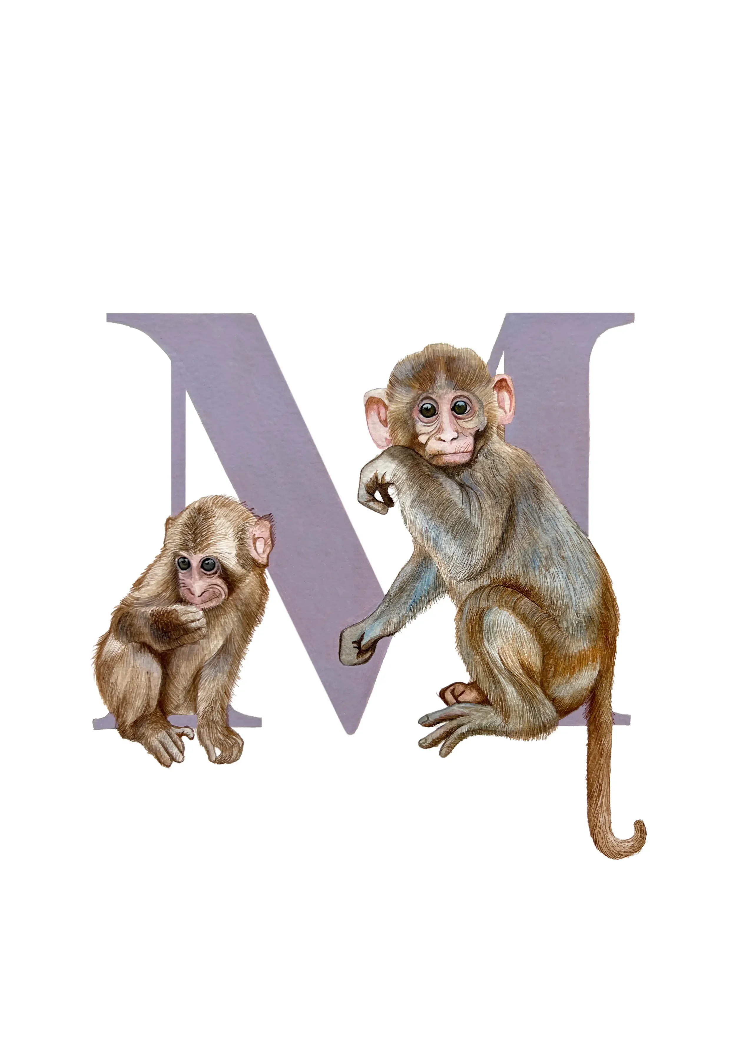 A3 MONKEYS copy 2.webp