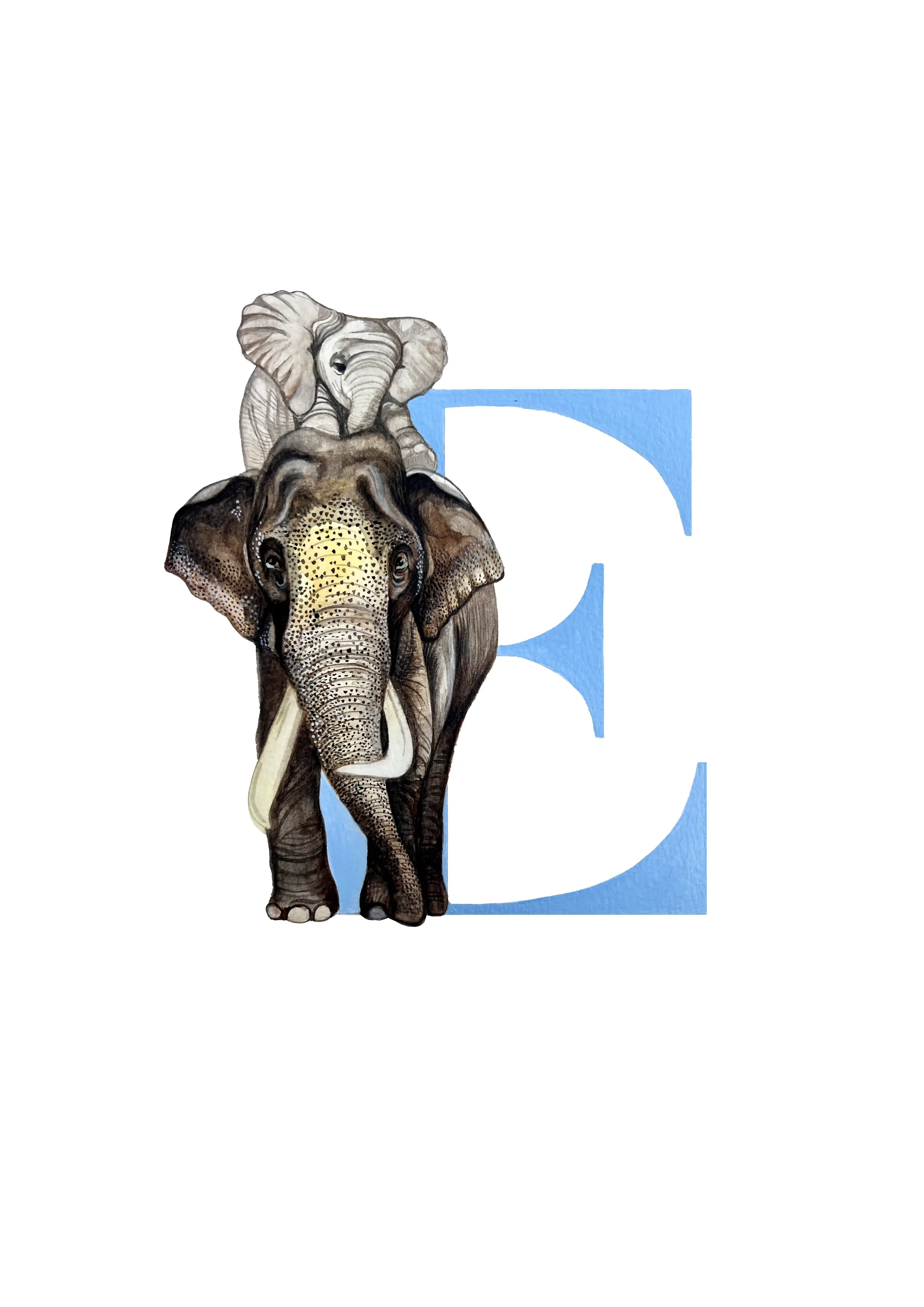 A3 ELEPHANT copy 2.webp