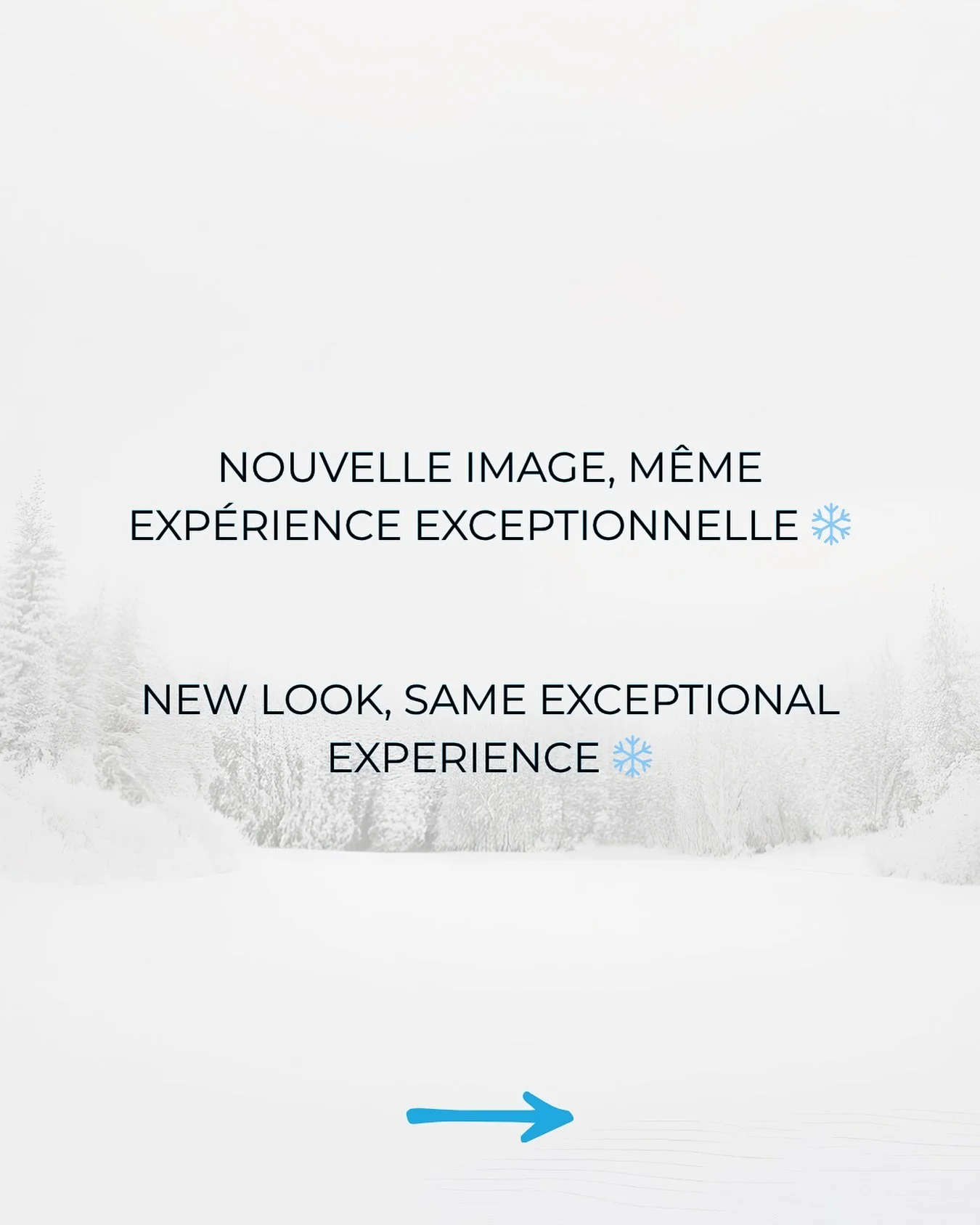 Nouvelle image, m&ecirc;me exp&eacute;rience exceptionnelle ❄️

Un nouveau chapitre commence pour Les Chalets Nordik.

Changement d&rsquo;identit&eacute; visuelle, nouvelle administration, mais toujours la m&ecirc;me promesse : un accueil chaleureux,