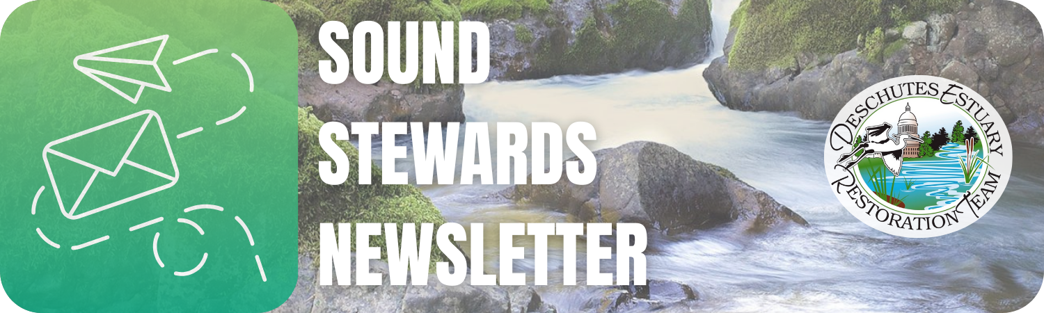 January 2026 Newsletter