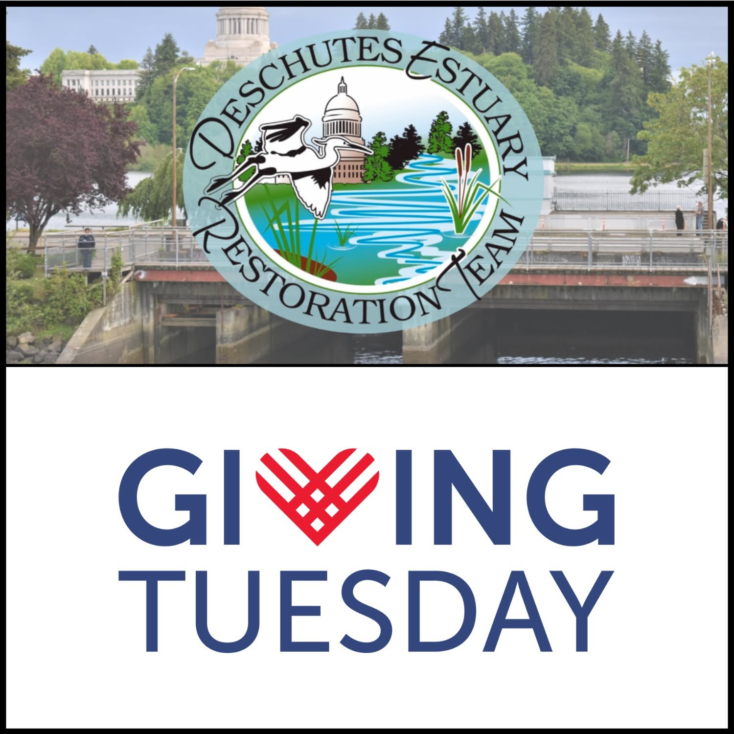 #GivingTuesday 2025 is Here!

Around the world, people are giving to the causes that matter most to them. Join the global movement and donate today on #GivingTuesday to help support DERT and our mission. Anyone can participate in the gift of giving b