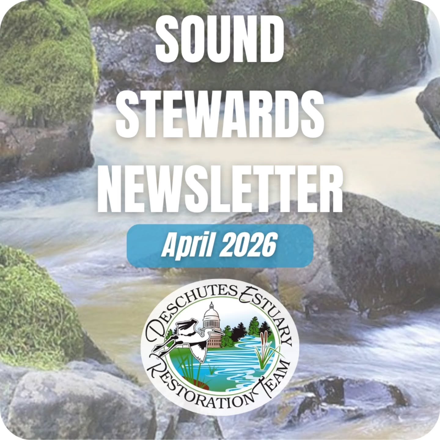 Check out this month's newsletter for a word from our new Executive Director - plus community events and DERT's GiveBIG campaign!

https://www.deschutesestuary.org/sound-stewards-newsletter/april-2026