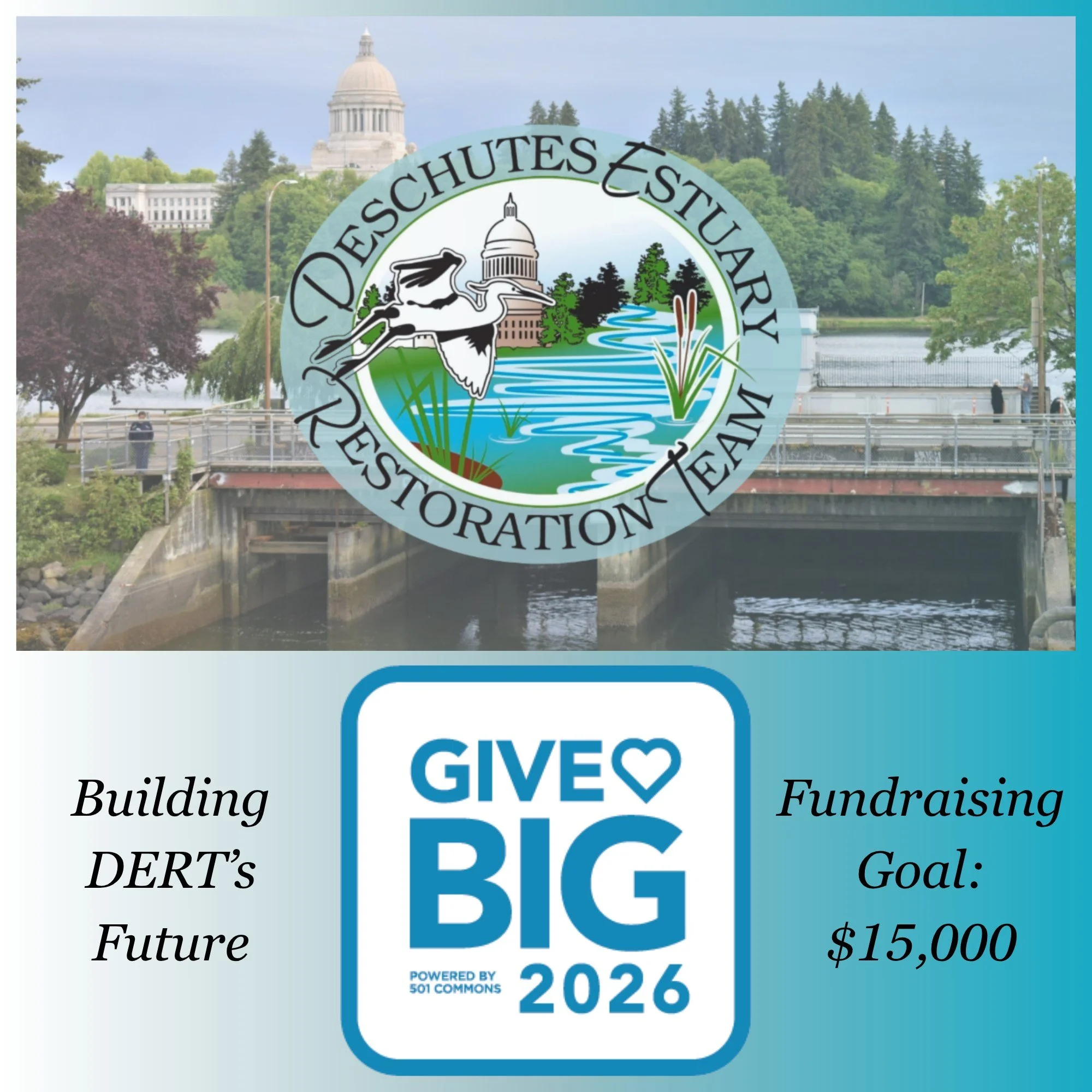 The final day of #GiveBIG is here! Support DERT's campaign today!

We are proud to have advocated for and helped secure funding for the design and permitting phase of the 5th Ave Dam removal project in Olympia, an important step toward restoring the 