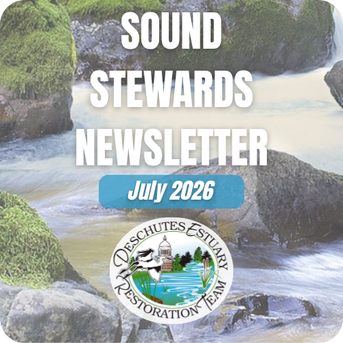 July 2026 Newsletter