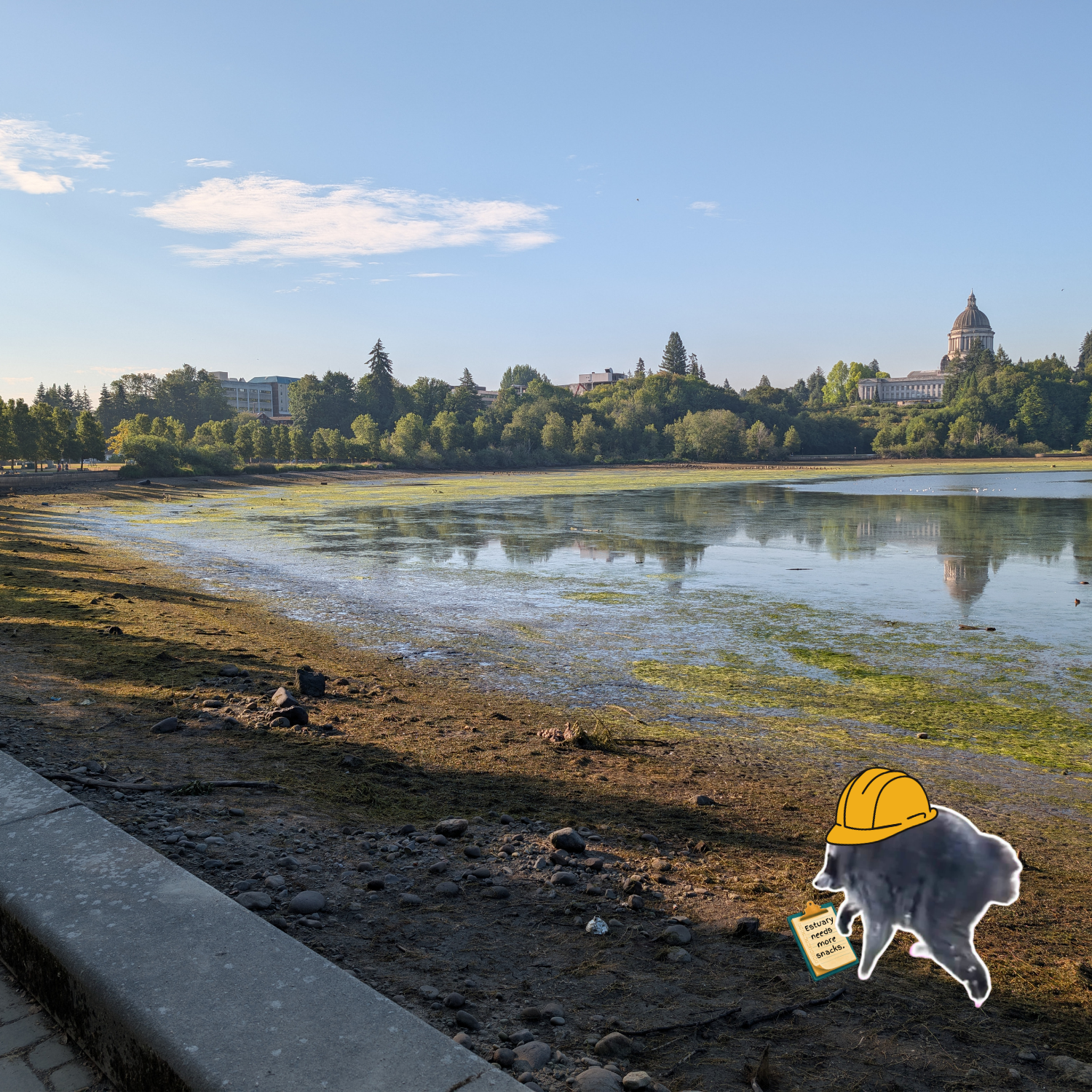 Jimothy provides feedback on improvements to the future estuary.