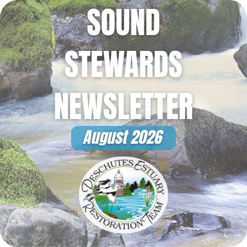August 2026 Newsletter