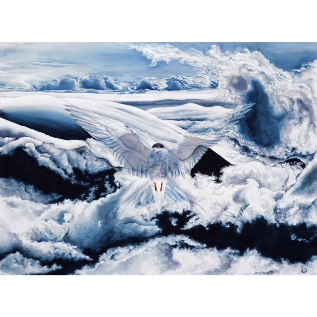 Transcendence private collection