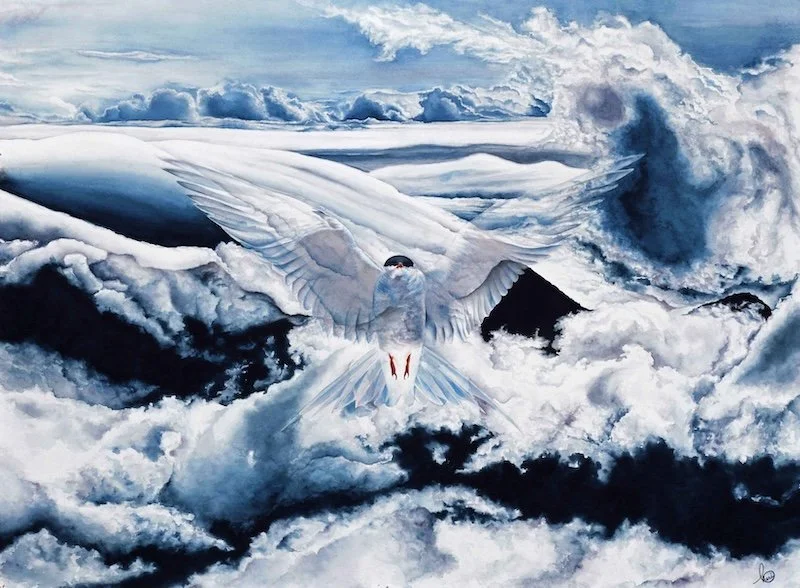 Transcendence ┬⌐Cheri Denis.jpg