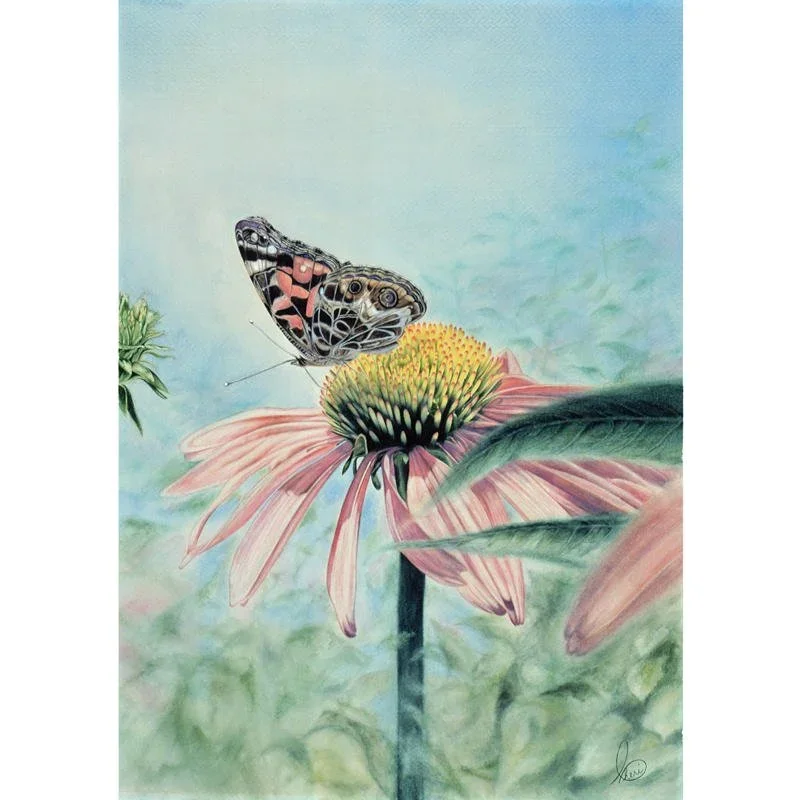 Pause in Flight limited edition